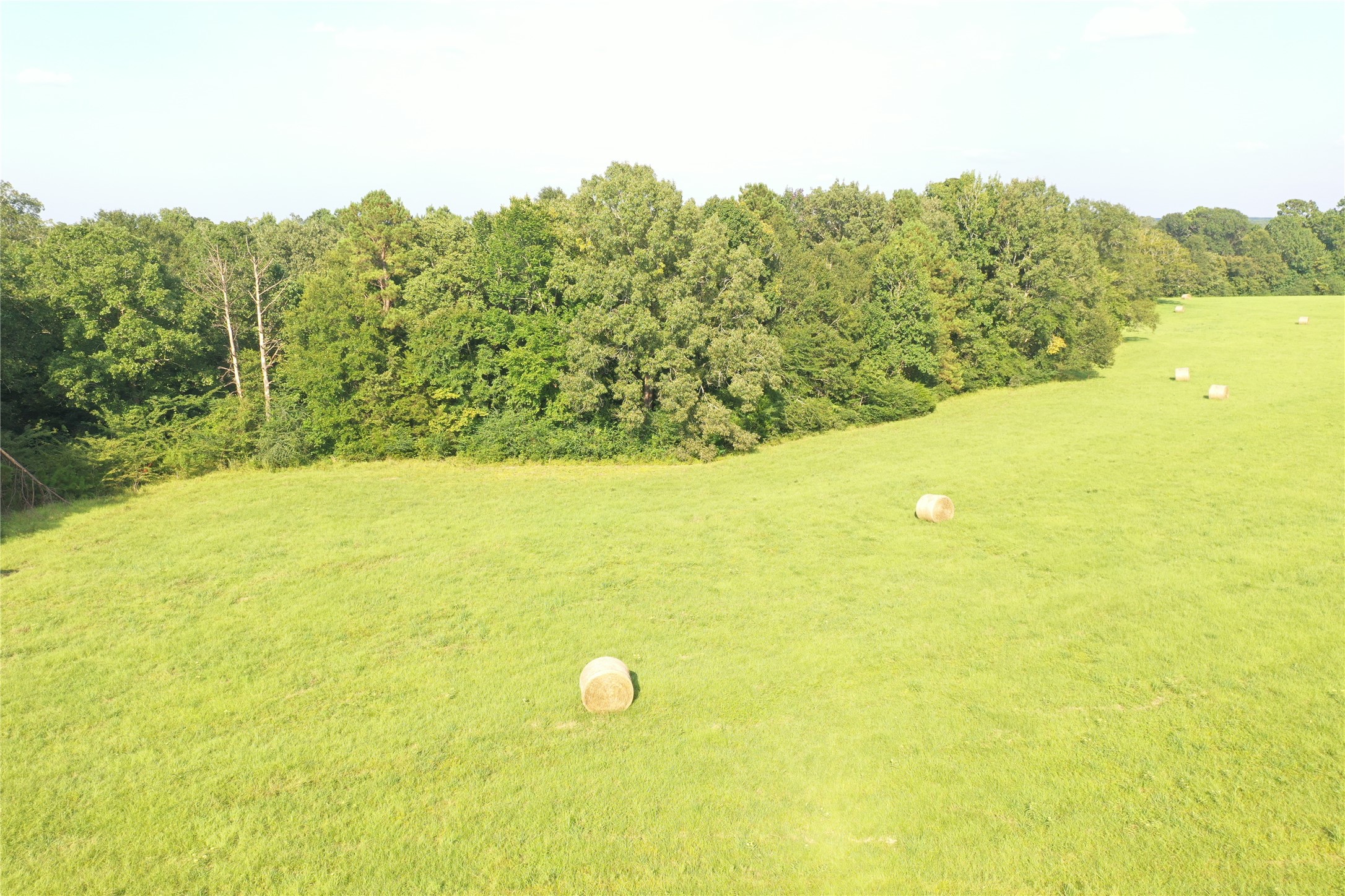 Tbd David Hon Road Livingston, TX 77351 - Photo 2 of 50 a view of a lake with a mountain in the background