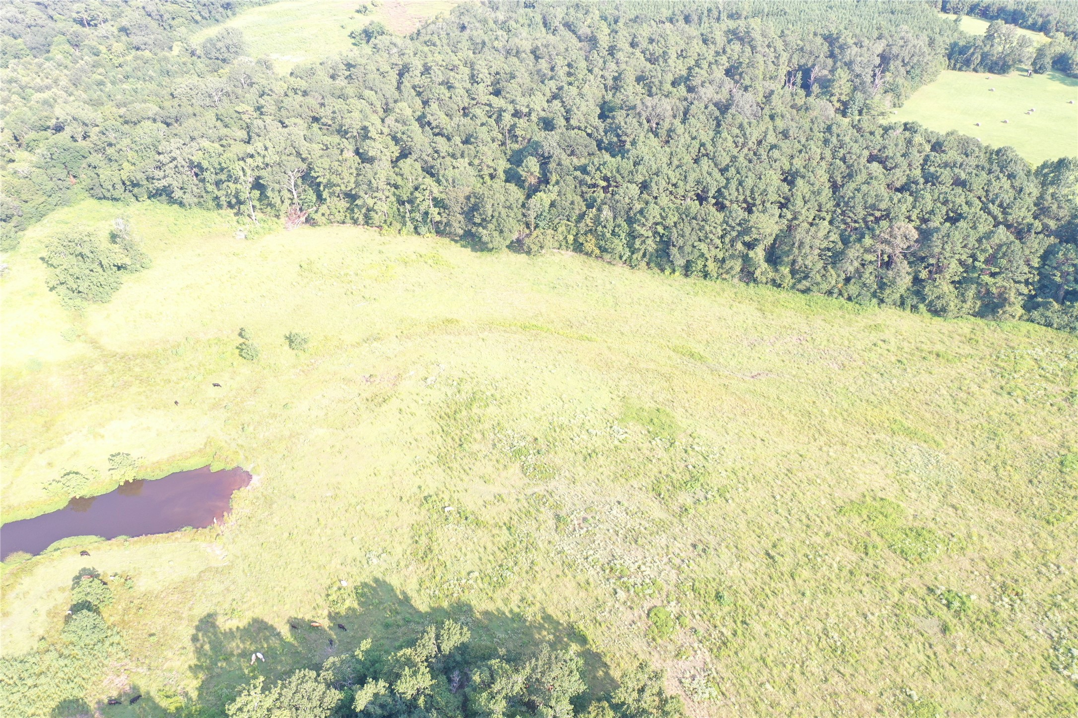 Tbd David Hon Road Livingston, TX 77351 - Photo 21 of 50 a view of beach and an ocean