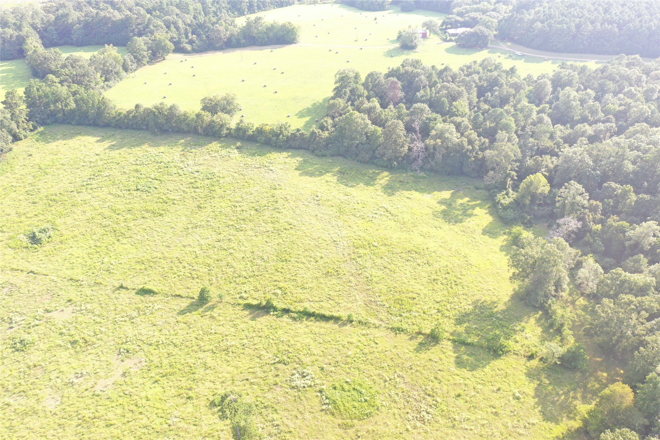 Tbd David Hon Road Livingston, TX 77351 - Photo 22 of 50 a view of an ocean