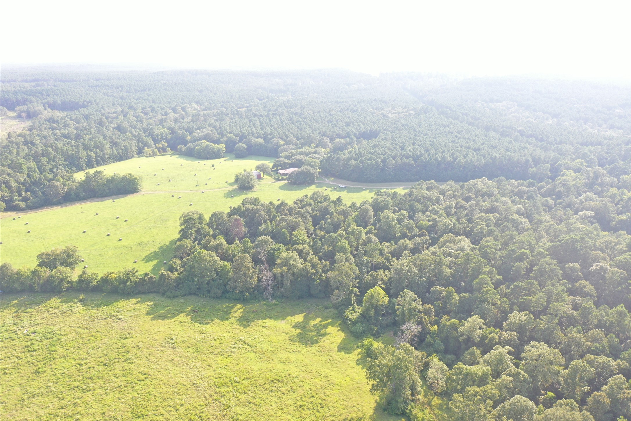 Tbd David Hon Road Livingston, TX 77351 - Photo 24 of 50 a view of ocean