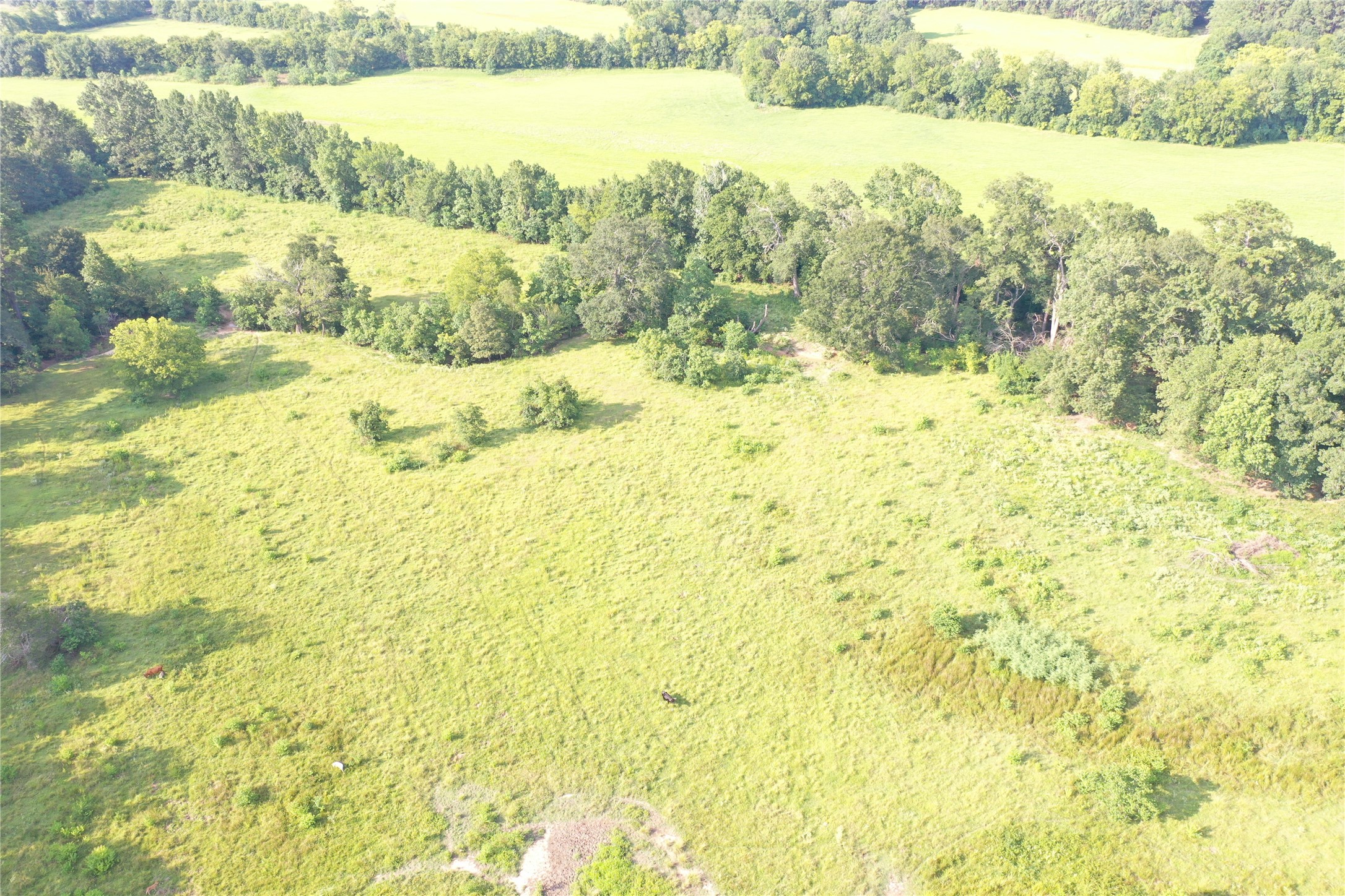 Tbd David Hon Road Livingston, TX 77351 - Photo 26 of 50 a view of ocean view