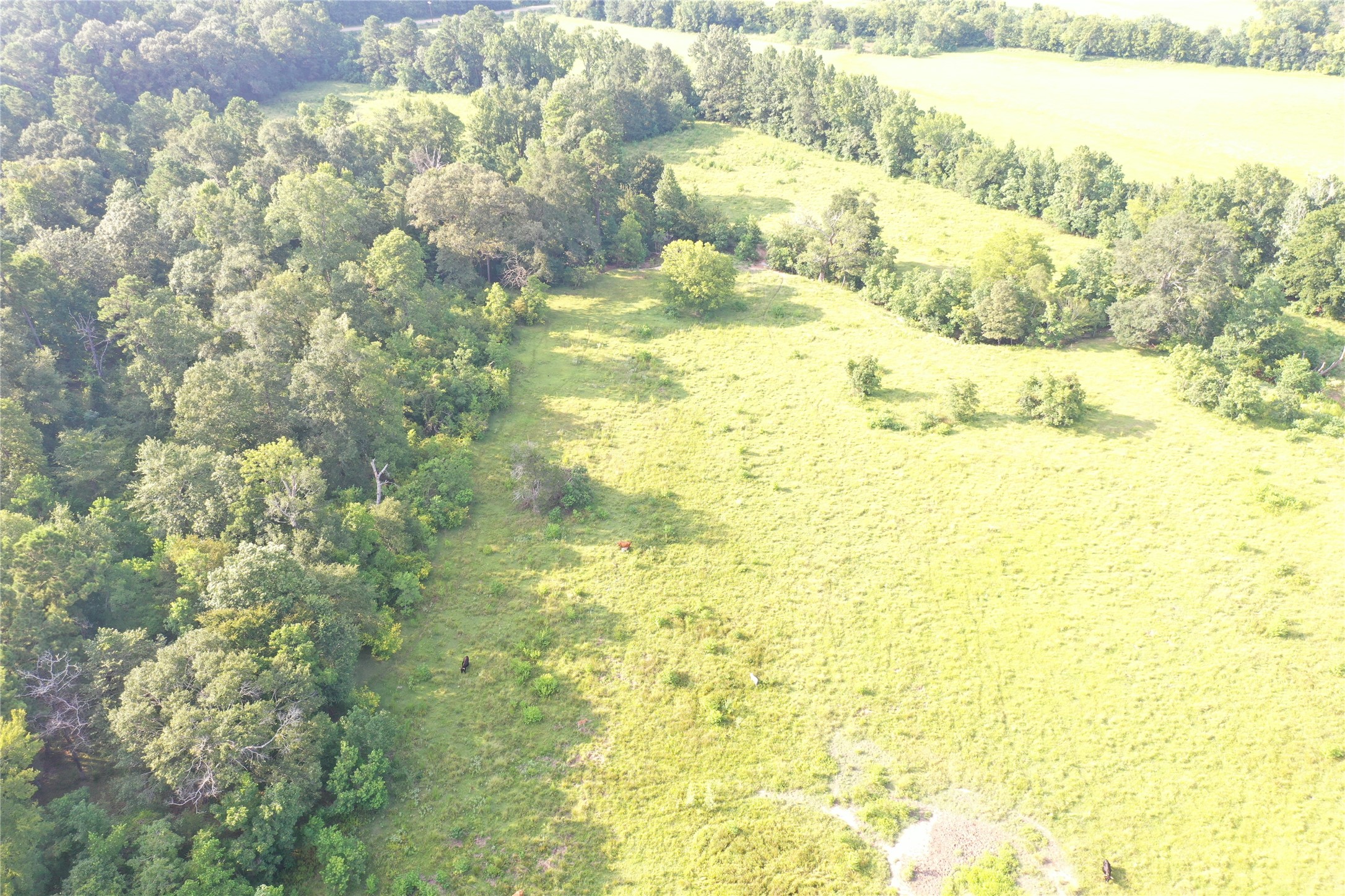Tbd David Hon Road Livingston, TX 77351 - Photo 27 of 50 a view of ocean