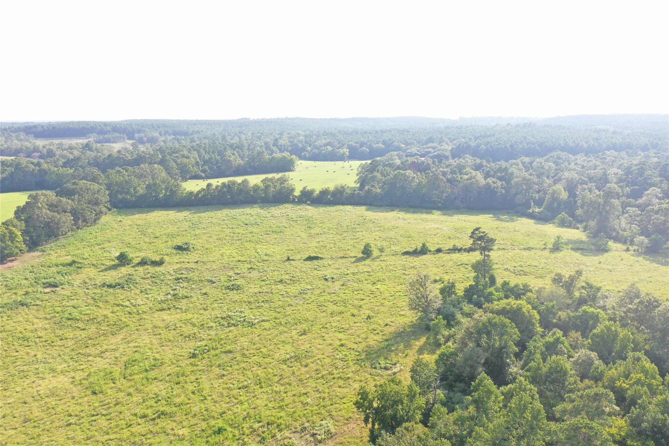 Tbd David Hon Road Livingston, TX 77351 - Photo 29 of 50