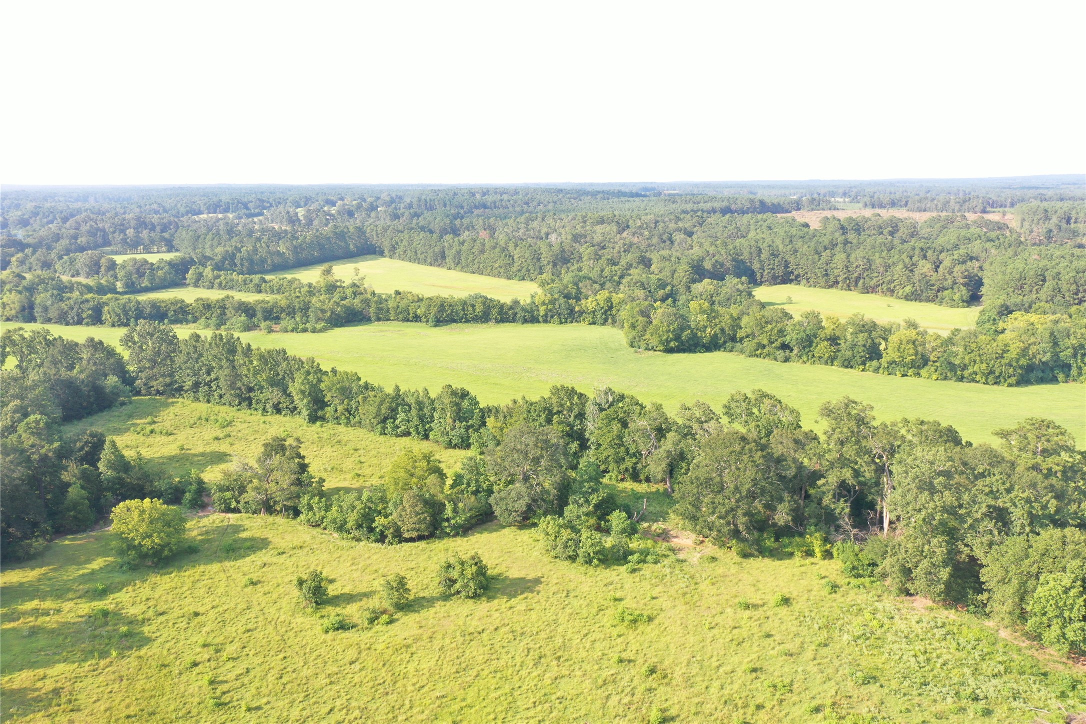 Tbd David Hon Road Livingston, TX 77351 - Photo 30 of 50 a view of a yard with an ocean