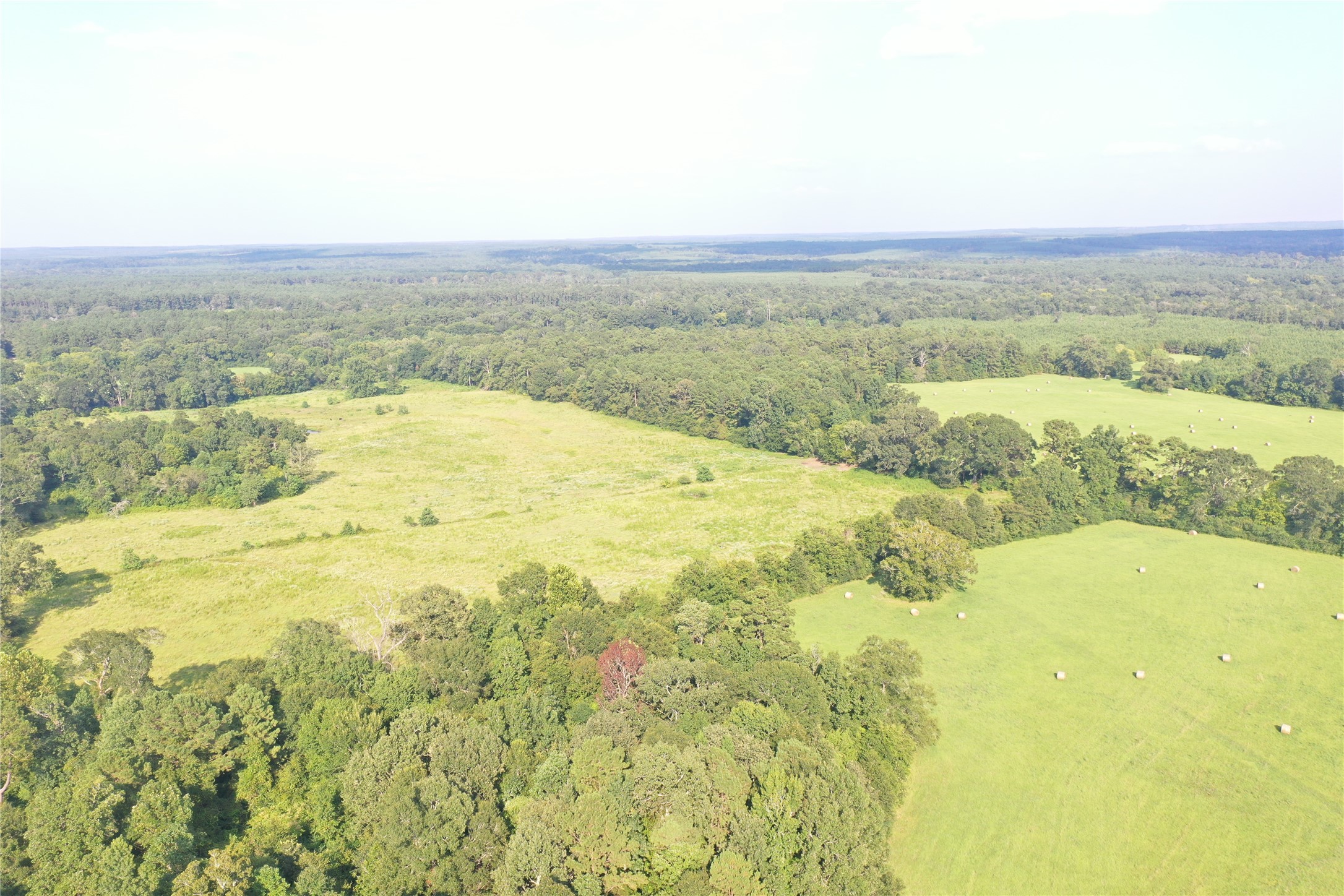 Tbd David Hon Road Livingston, TX 77351 - Photo 3 of 50