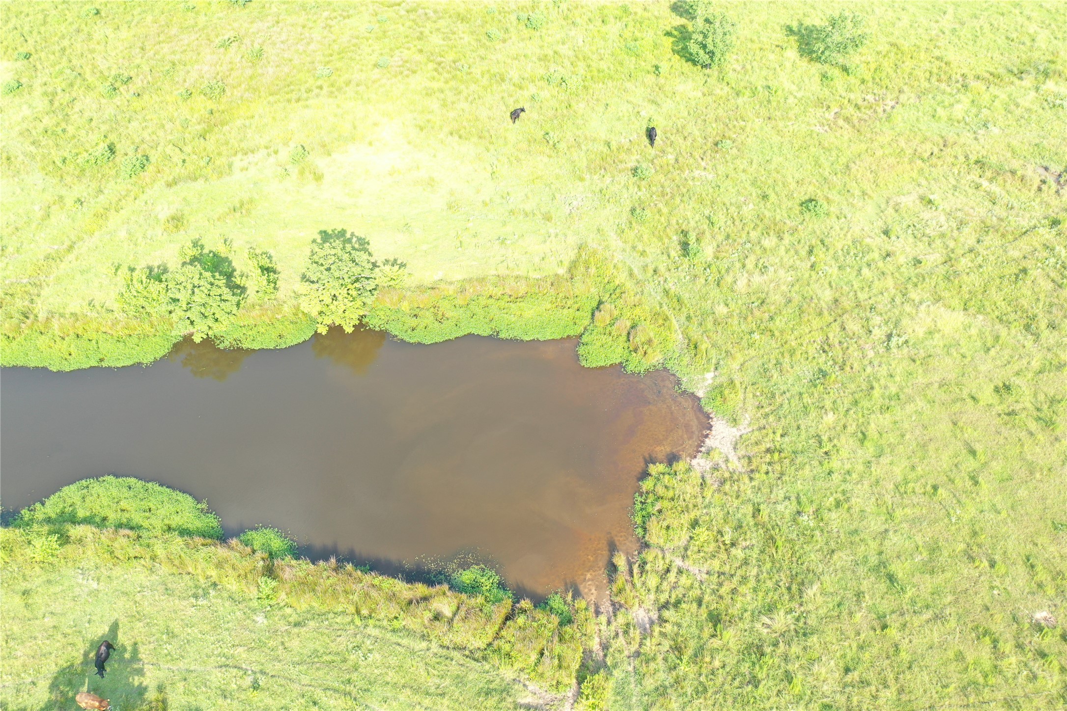 Tbd David Hon Road Livingston, TX 77351 - Photo 31 of 50