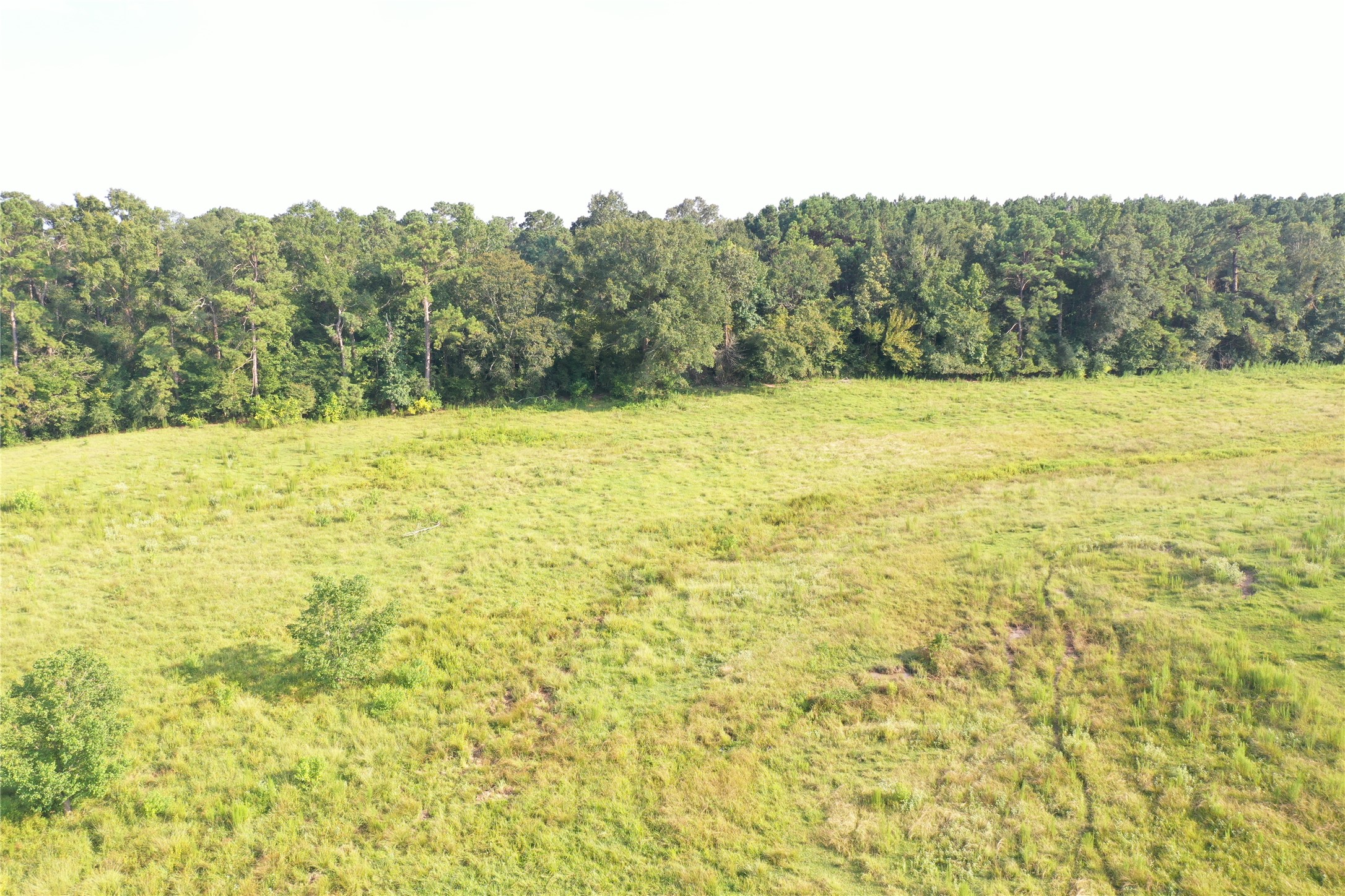 Tbd David Hon Road Livingston, TX 77351 - Photo 33 of 50 a view of ocean view