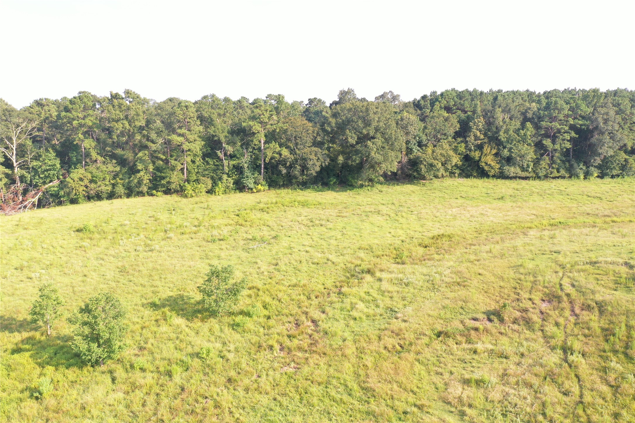 Tbd David Hon Road Livingston, TX 77351 - Photo 34 of 50 a view of mountain view with an ocean view