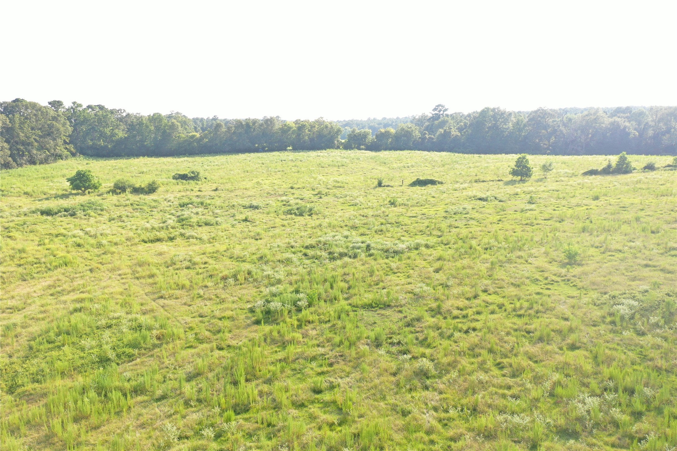 Tbd David Hon Road Livingston, TX 77351 - Photo 36 of 50 a view of an ocean from a beach