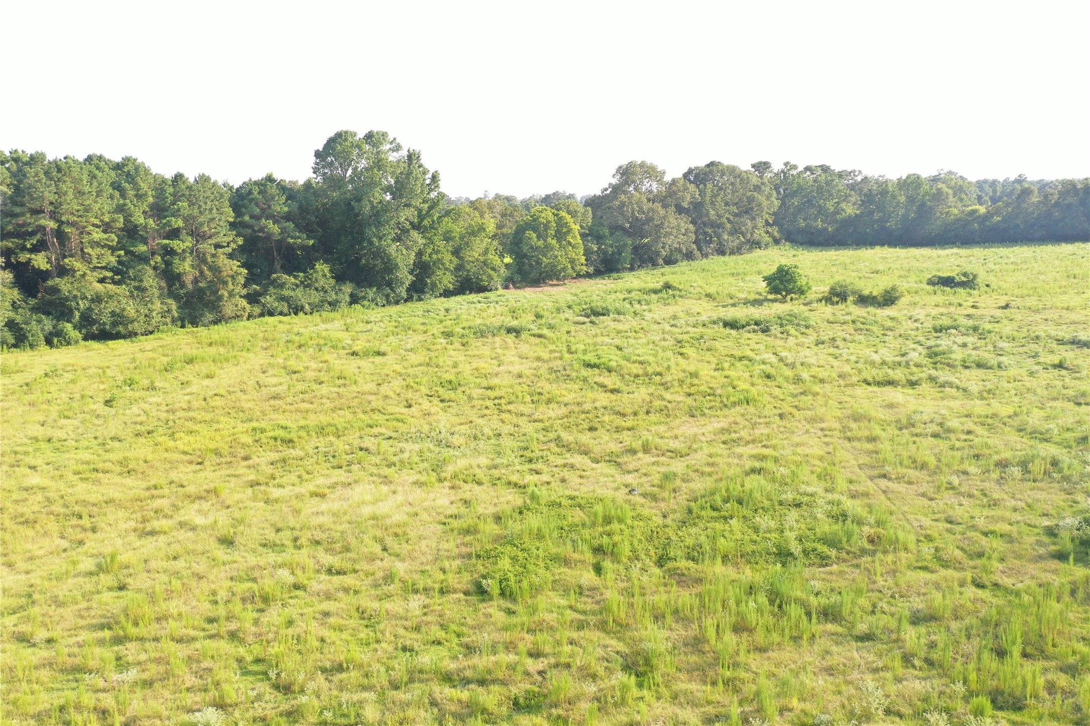 Tbd David Hon Road Livingston, TX 77351 - Photo 37 of 50 a view of an ocean view