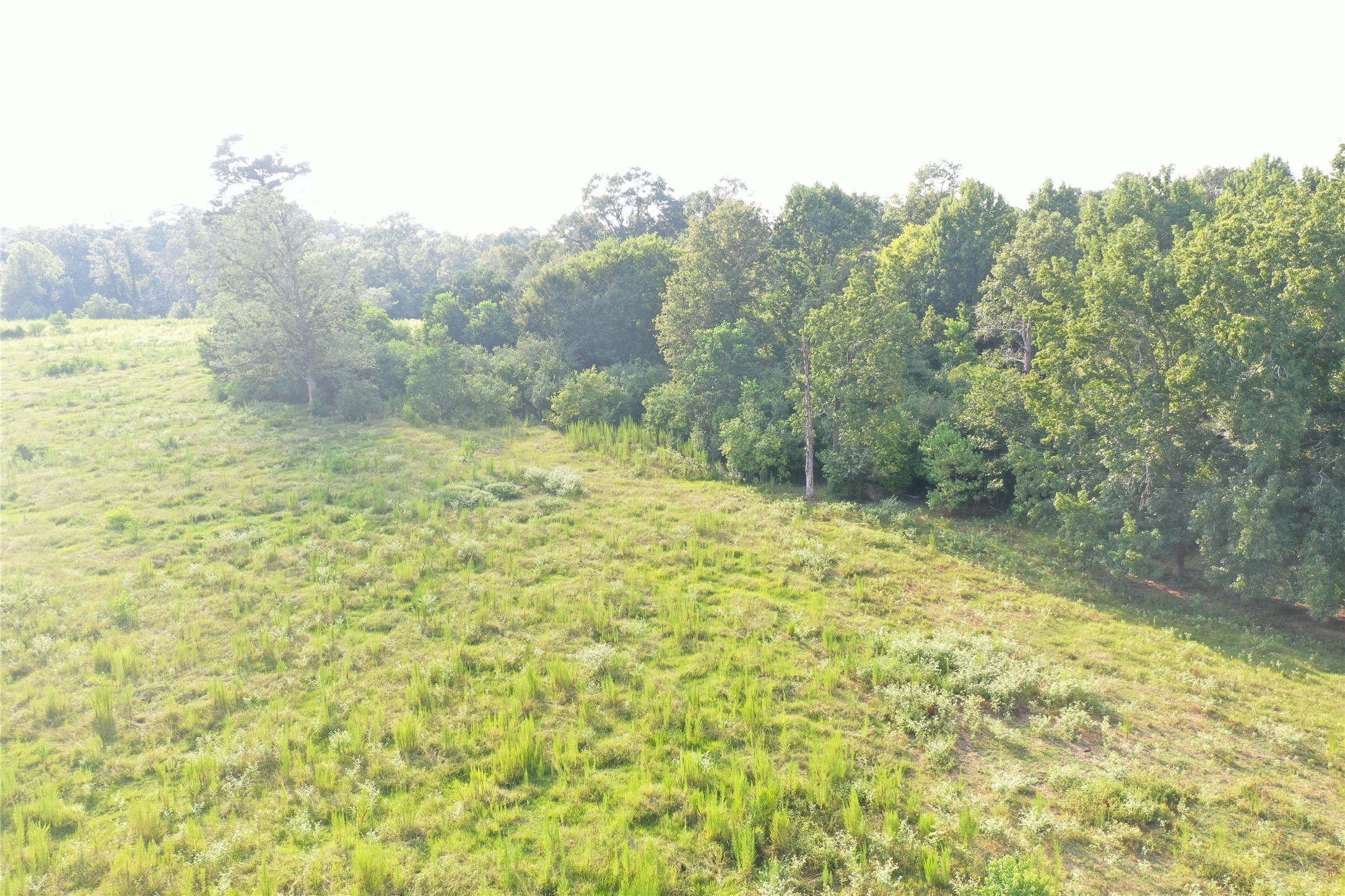 Tbd David Hon Road Livingston, TX 77351 - Photo 38 of 50 a view of a yard with a house