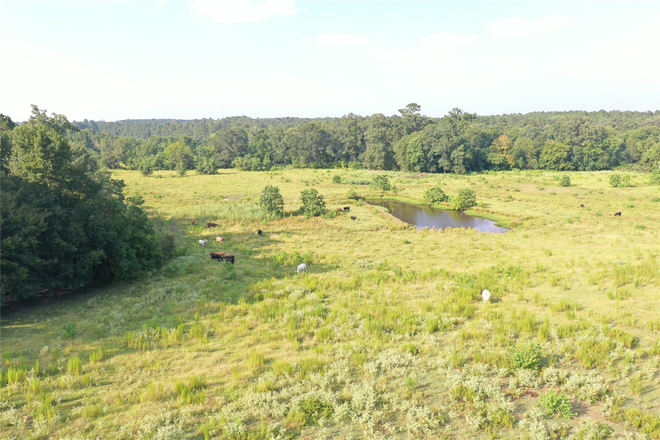 Tbd David Hon Road Livingston, TX 77351 - Photo 39 of 50 a view of lake view and mountain view