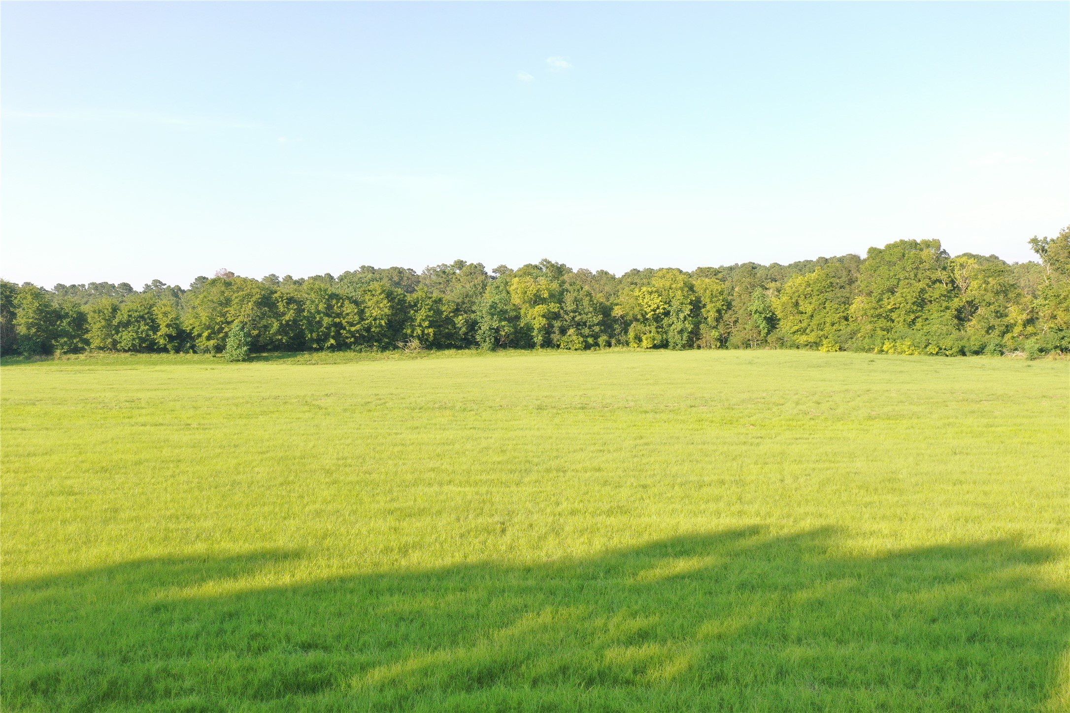Tbd David Hon Road Livingston, TX 77351 - Photo 40 of 50 a view of lake and mountain