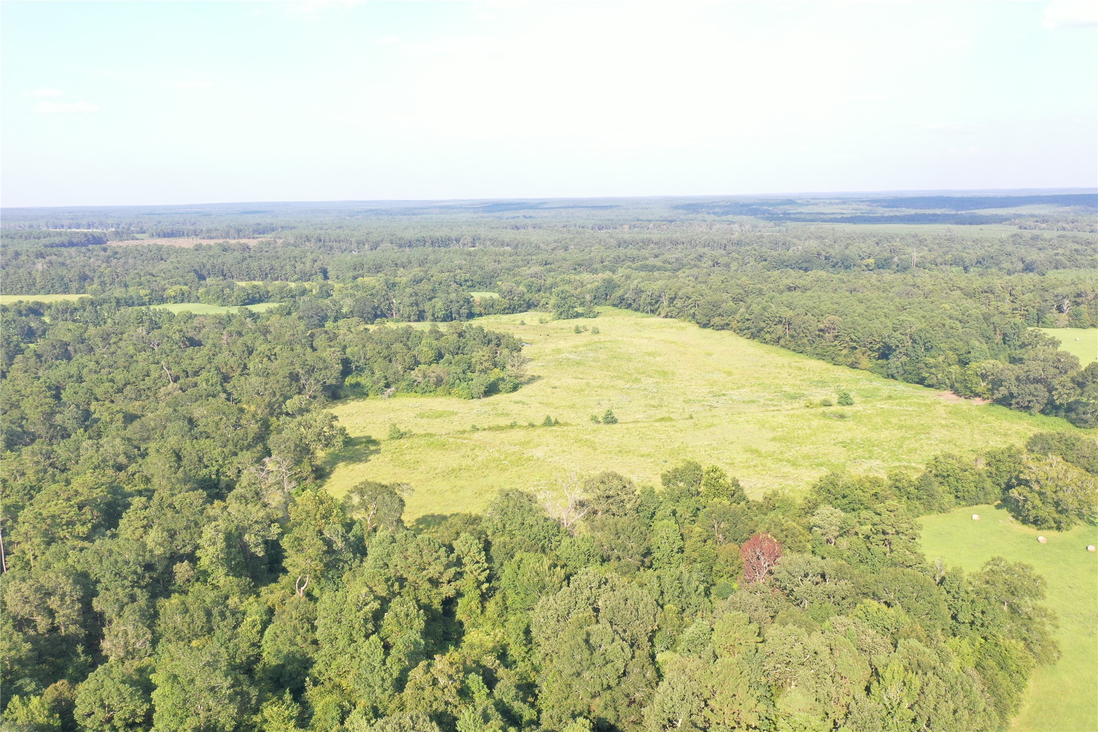 Tbd David Hon Road Livingston, TX 77351 - Photo 4 of 50 a view of an ocean