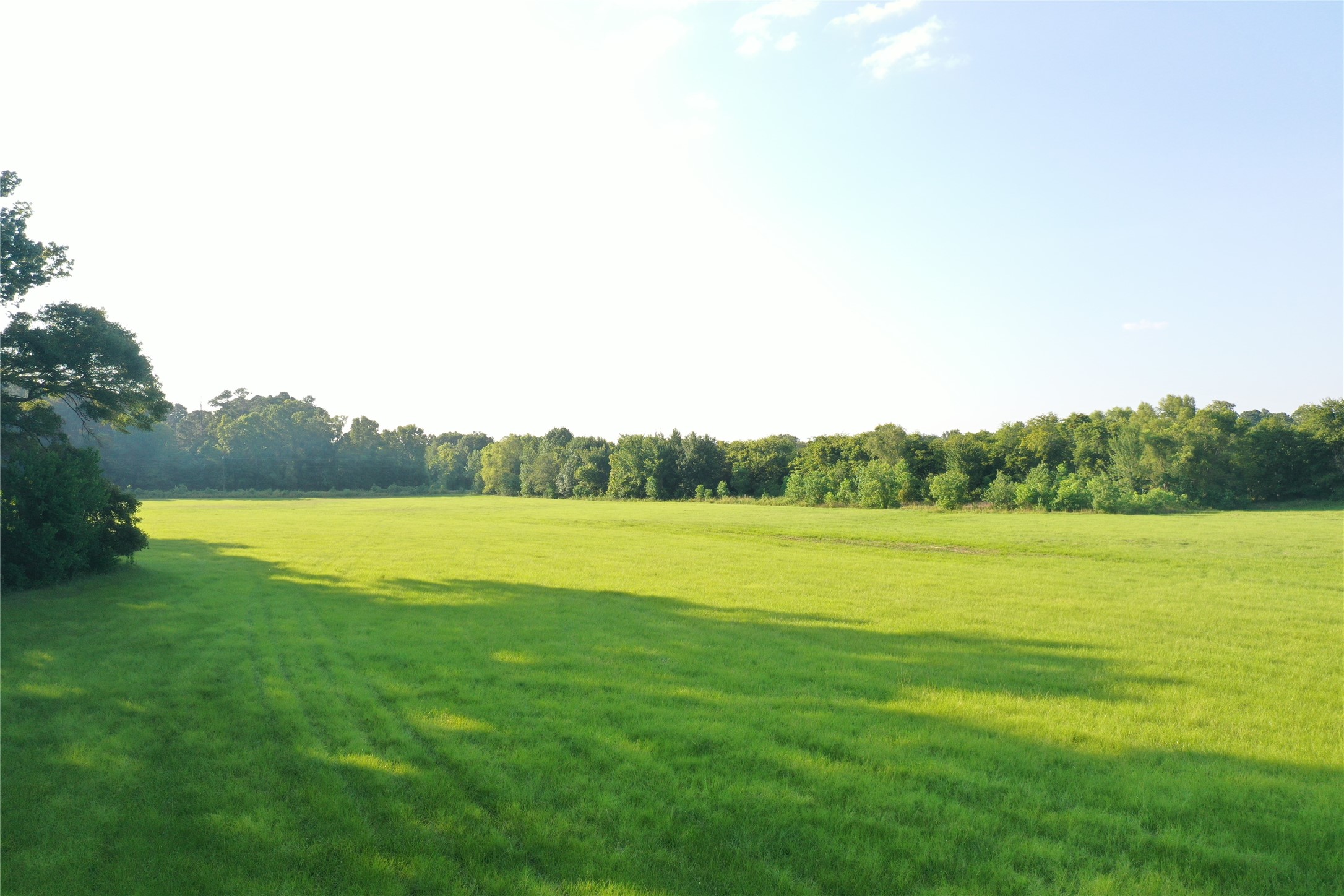 Tbd David Hon Road Livingston, TX 77351 - Photo 41 of 50 a view of an ocean from a yard