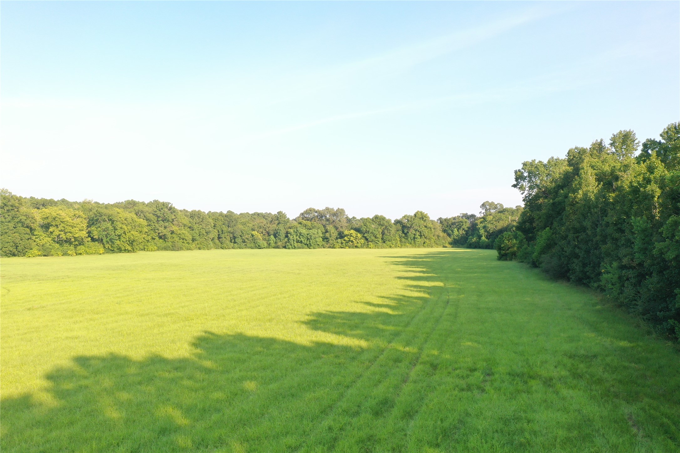 Tbd David Hon Road Livingston, TX 77351 - Photo 42 of 50 a view of an ocean from a yard