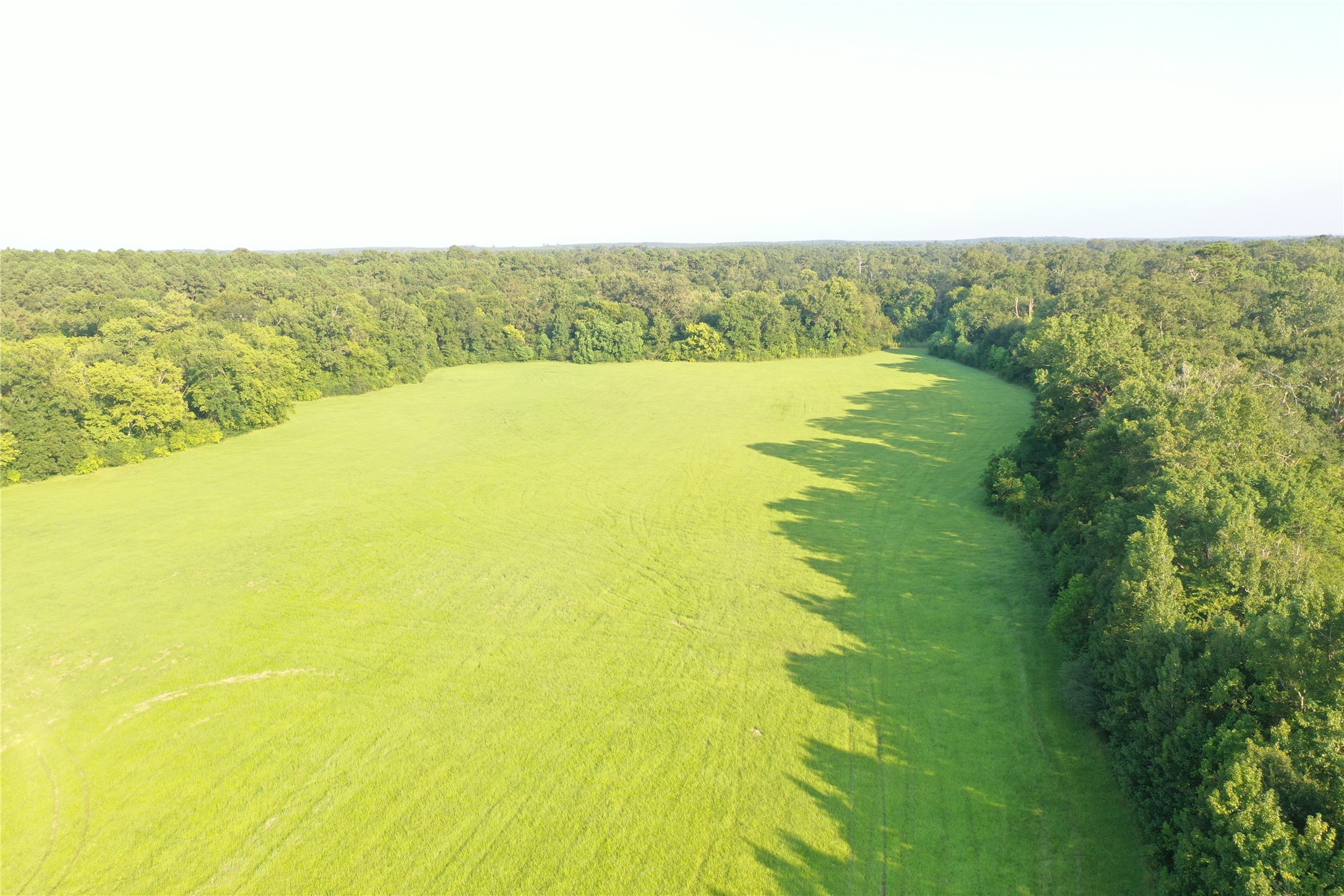 Tbd David Hon Road Livingston, TX 77351 - Photo 43 of 50 a view of yard with ocean view