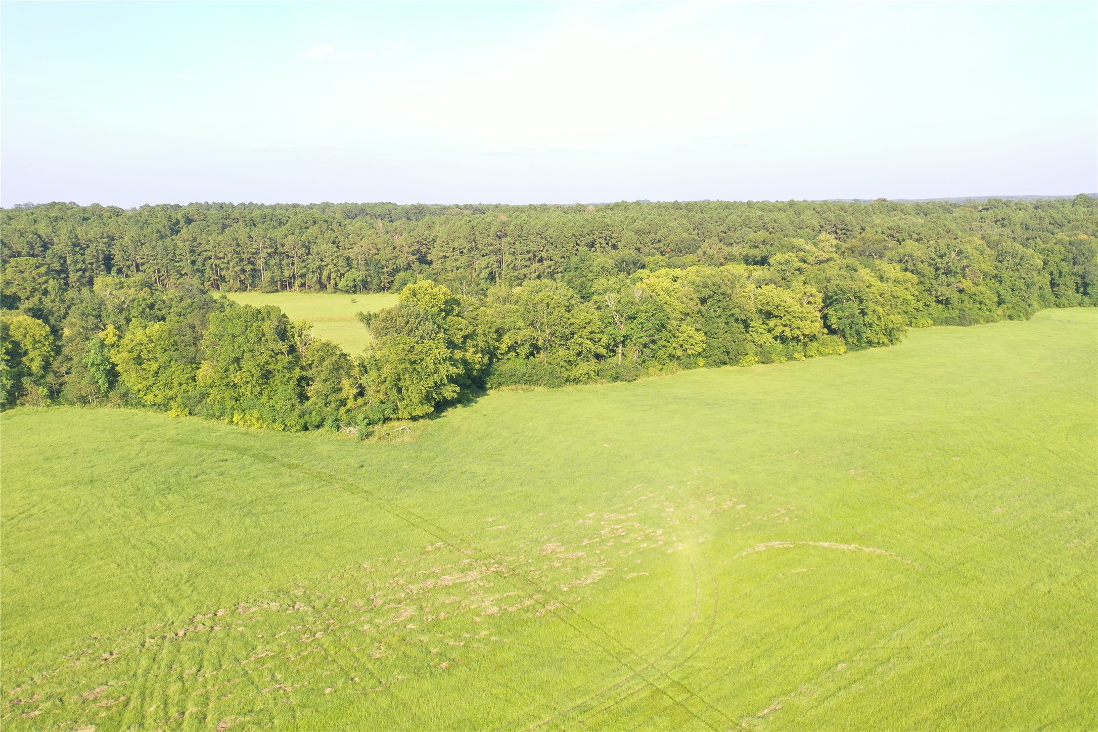 Tbd David Hon Road Livingston, TX 77351 - Photo 44 of 50 a view of city and ocean