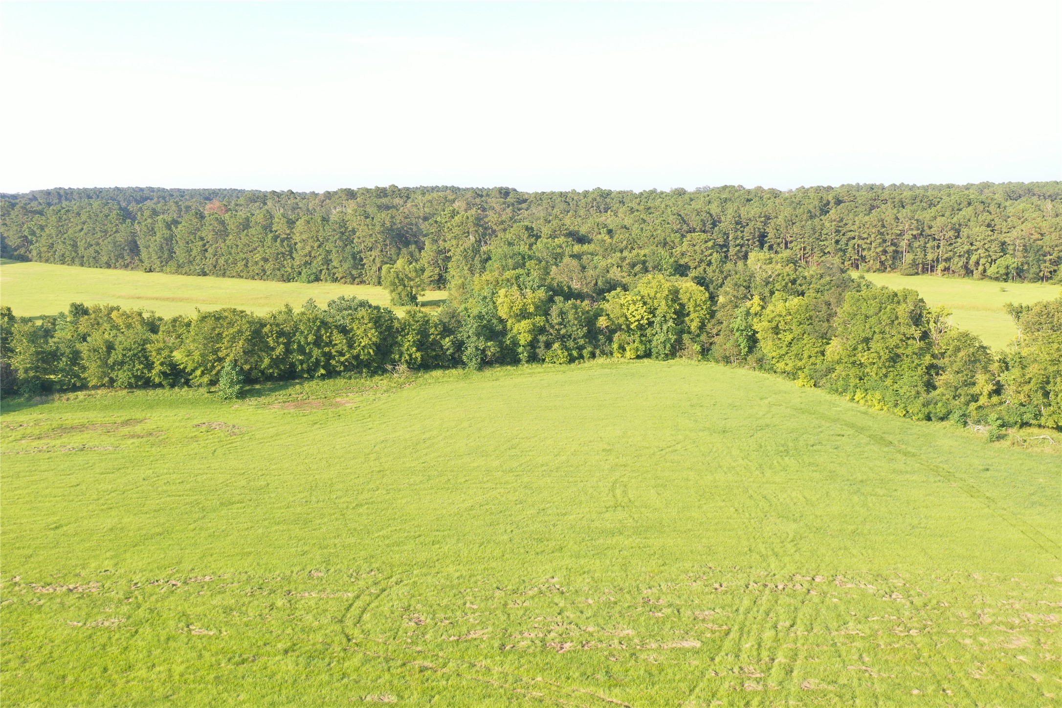 Tbd David Hon Road Livingston, TX 77351 - Photo 45 of 50 a view of an ocean from a balcony
