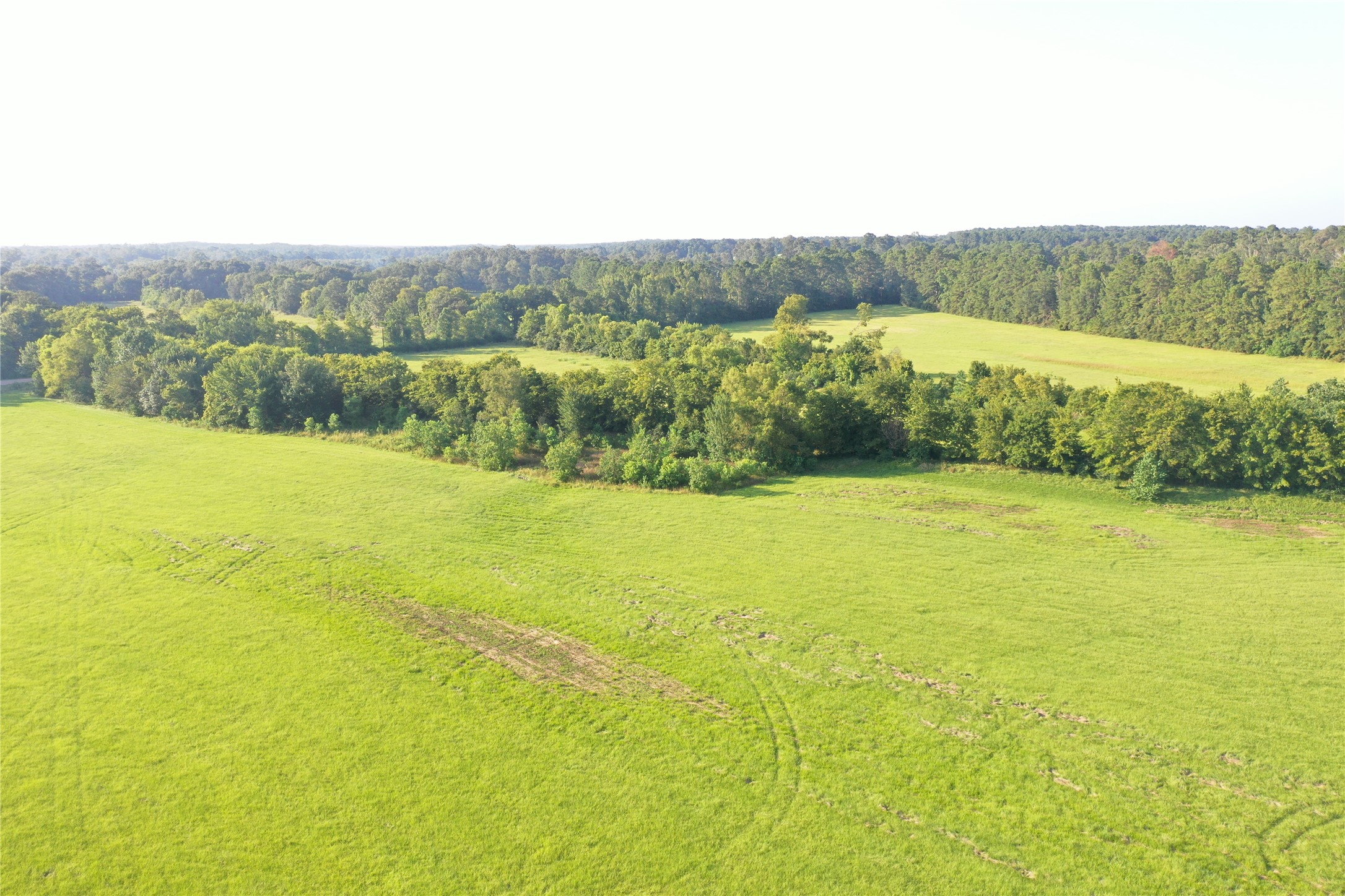 Tbd David Hon Road Livingston, TX 77351 - Photo 46 of 50 a view of an ocean and a mountain