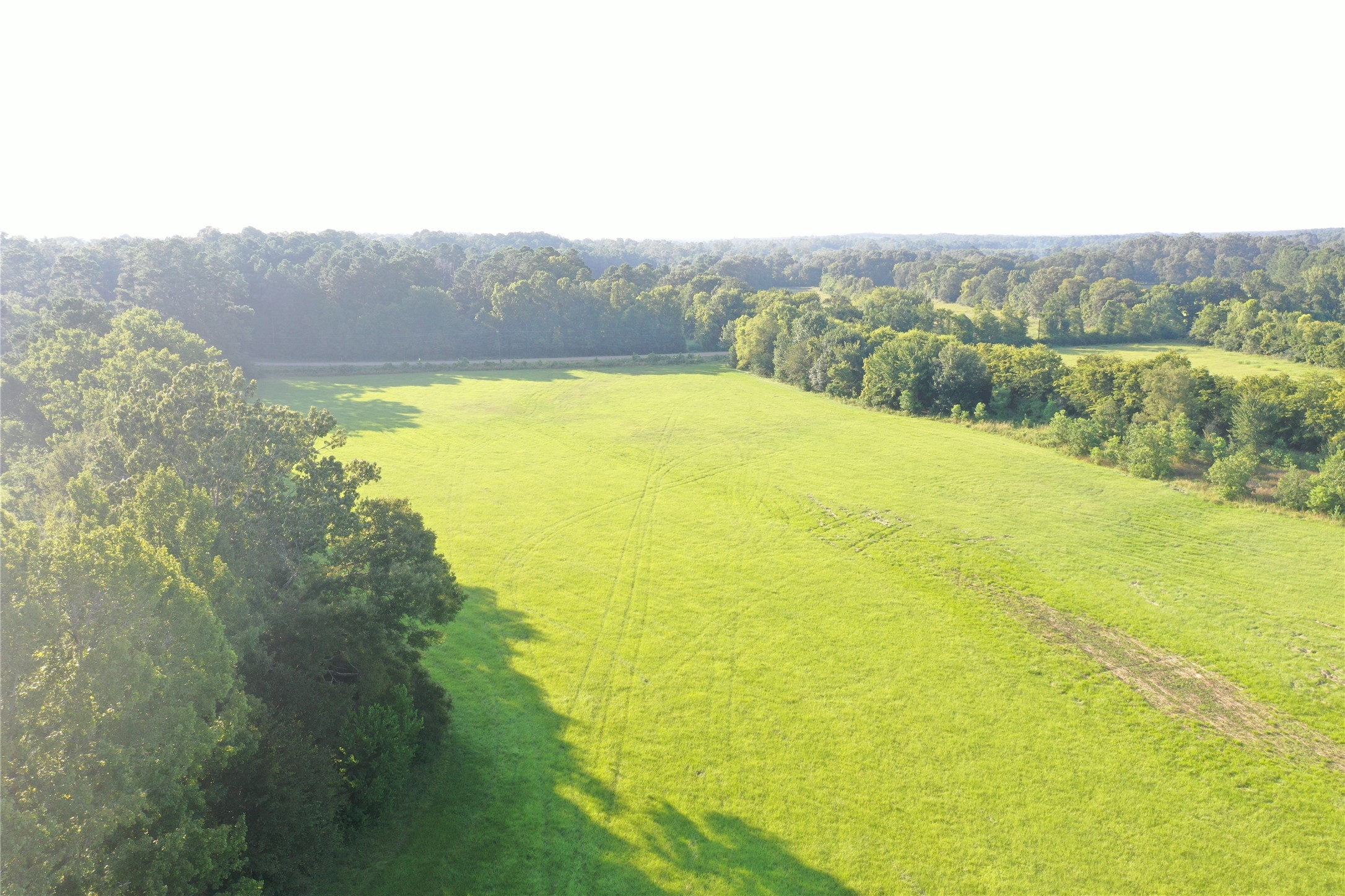 Tbd David Hon Road Livingston, TX 77351 - Photo 47 of 50 a view of a lake with a mountain in the background