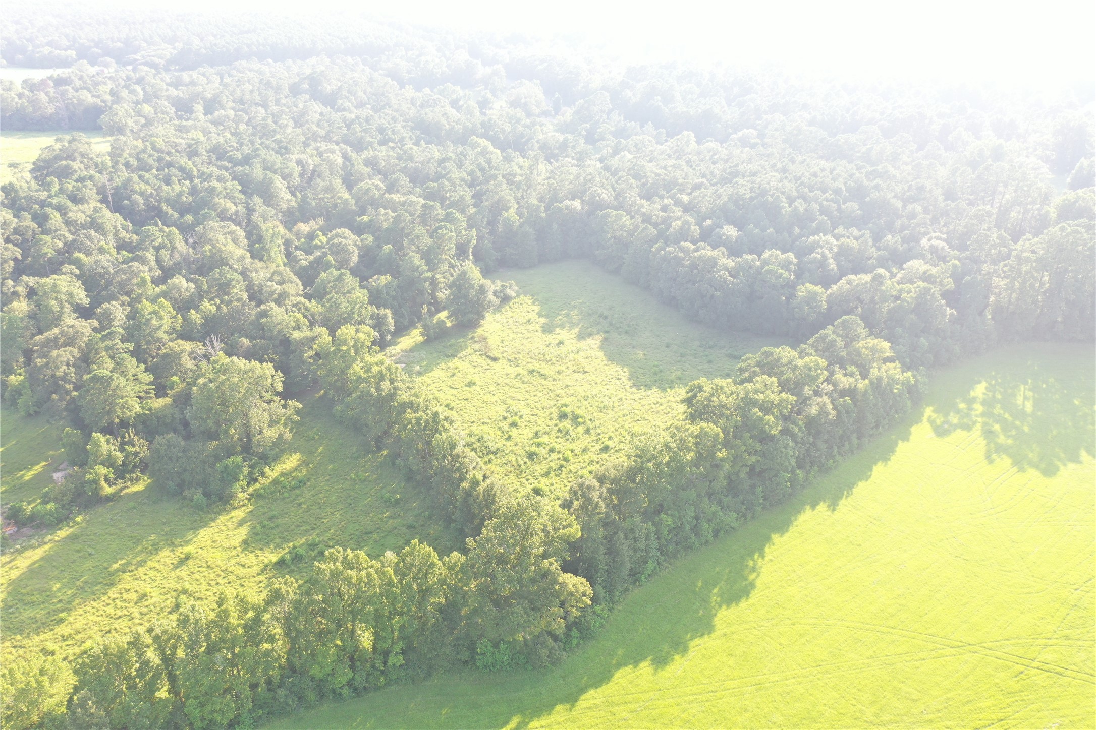 Tbd David Hon Road Livingston, TX 77351 - Photo 49 of 50