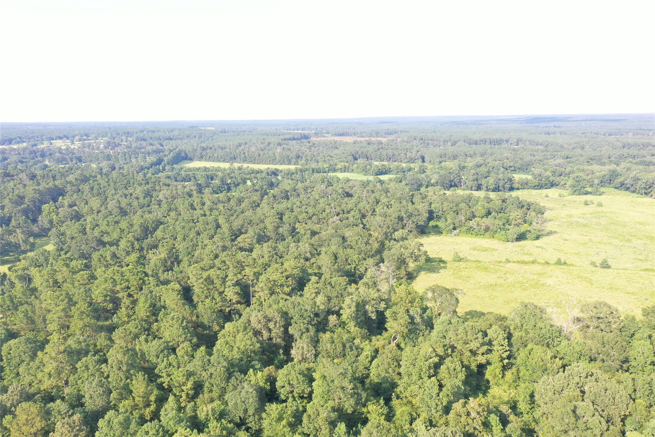 Tbd David Hon Road Livingston, TX 77351 - Photo 5 of 50 view of city and mountain