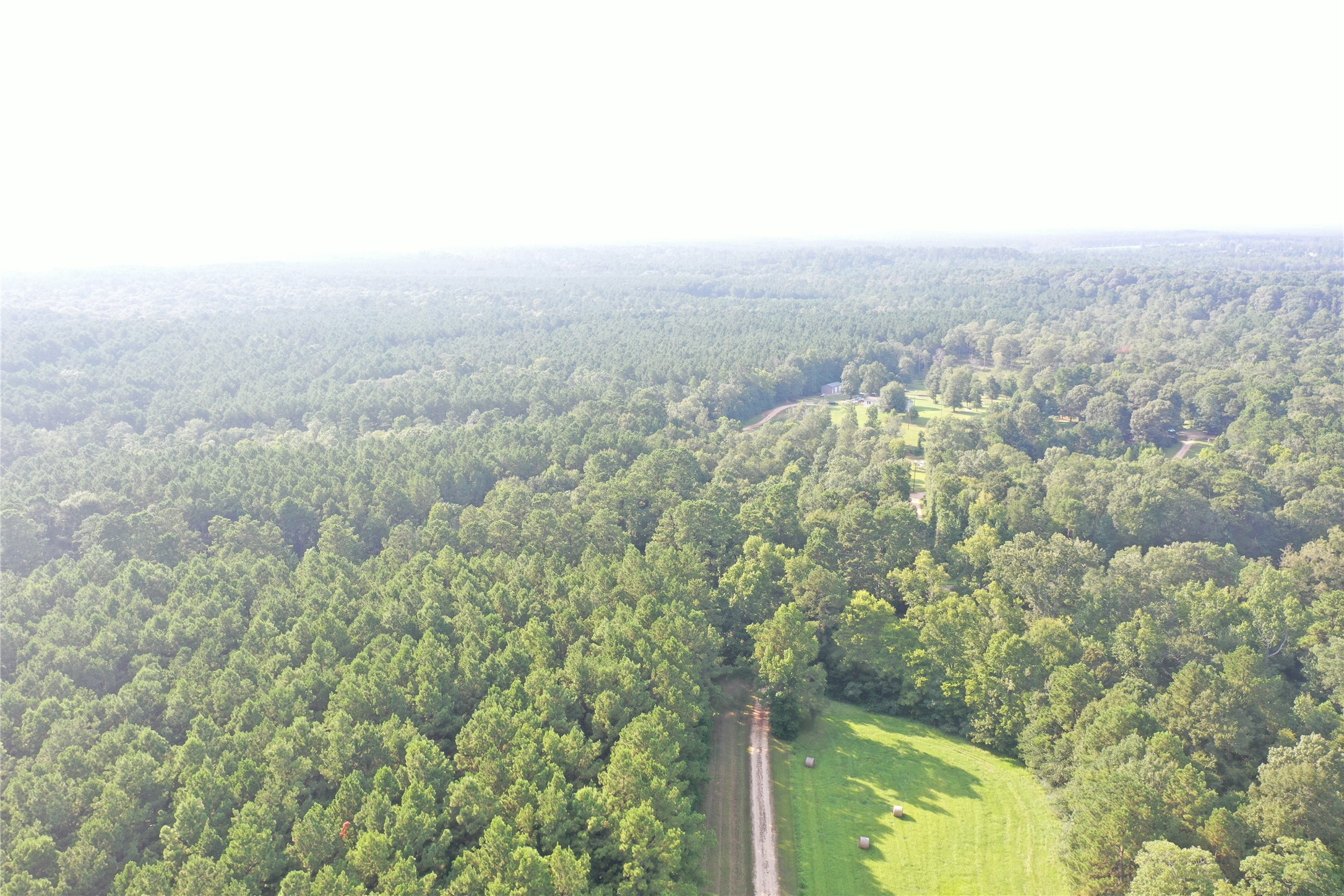 Tbd David Hon Road Livingston, TX 77351 - Photo 6 of 50 an aerial view of houses covered in trees