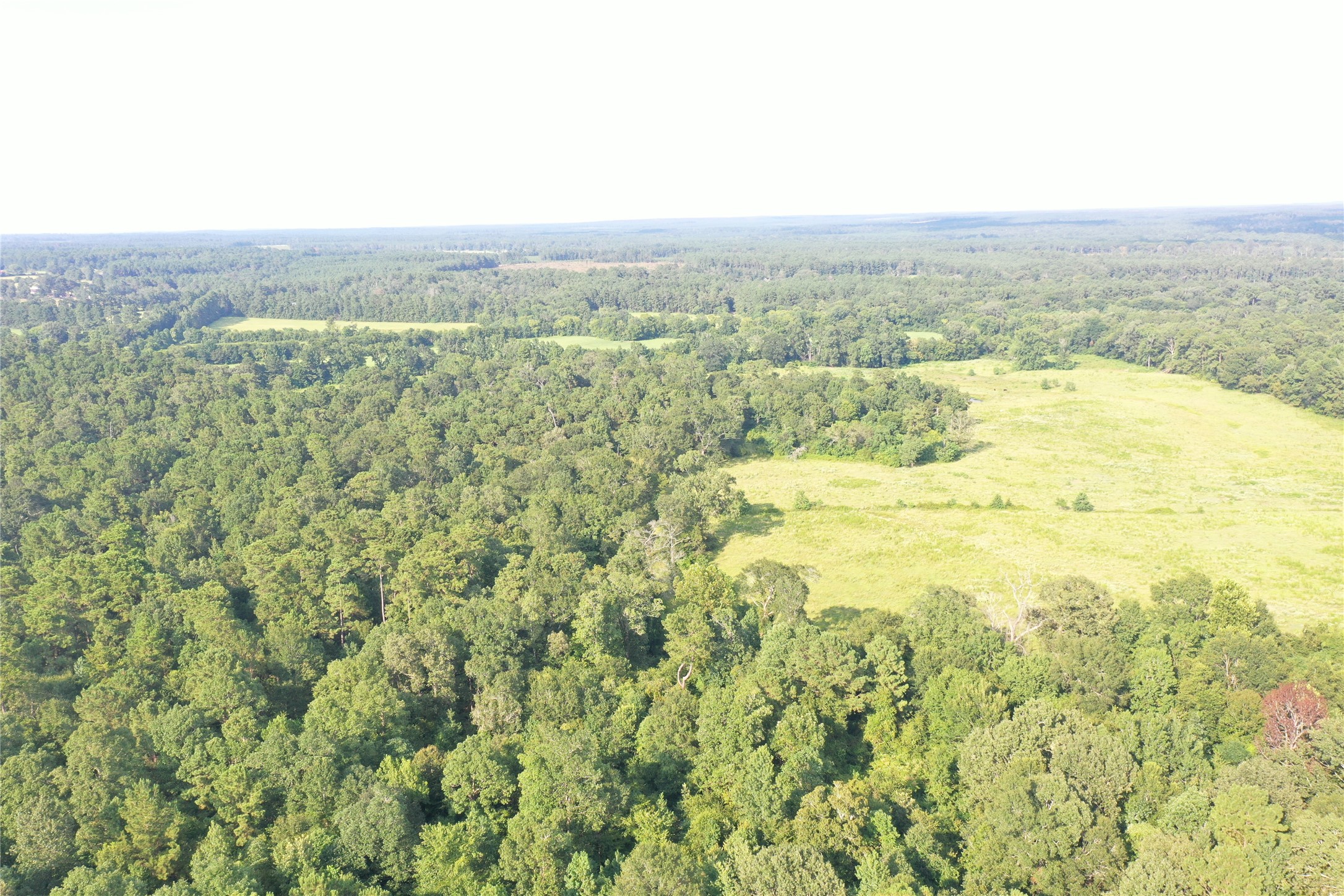 Tbd David Hon Road Livingston, TX 77351 - Photo 7 of 50 a view of an ocean