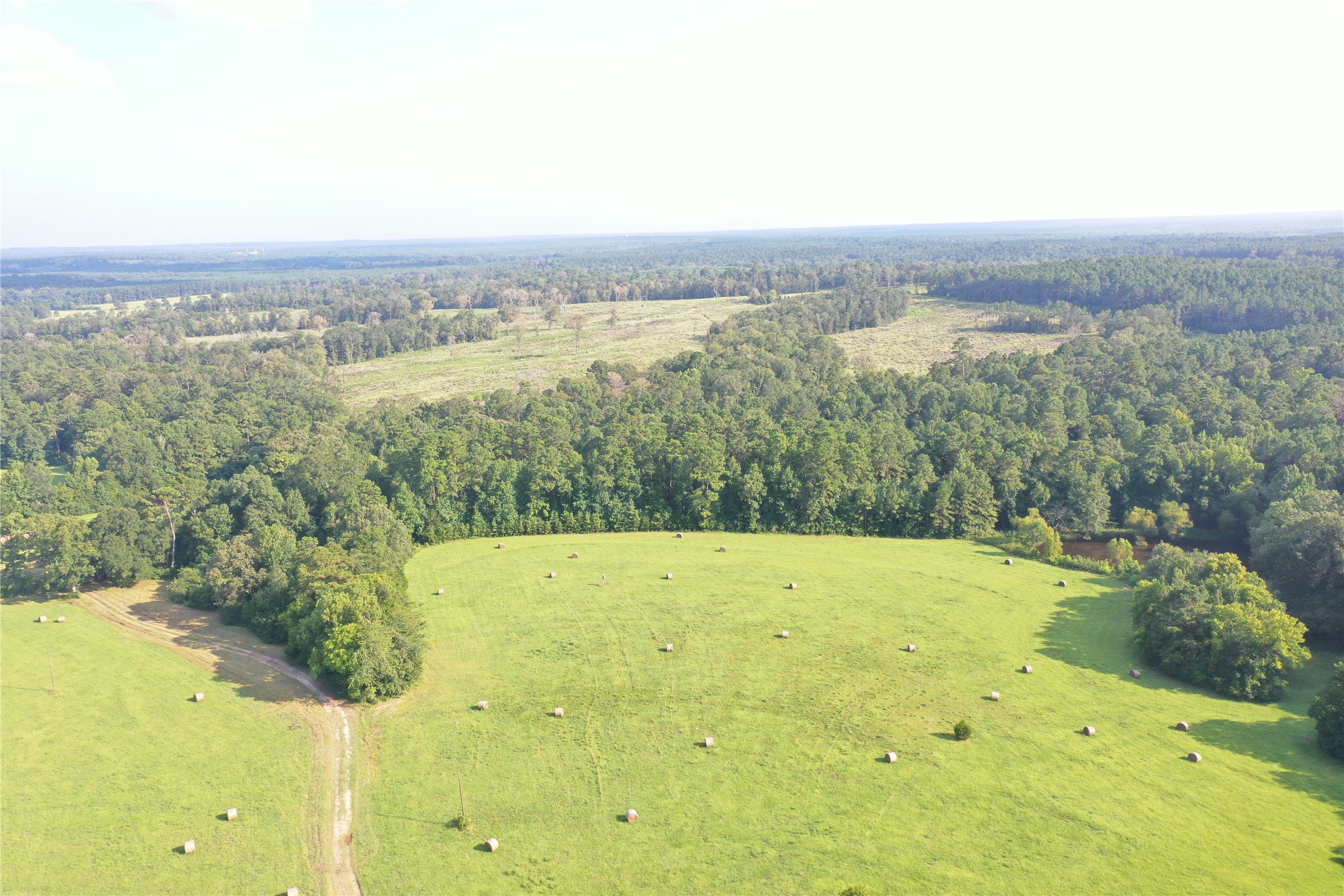 Tbd David Hon Road Livingston, TX 77351 - Photo 9 of 50 a view of an ocean view