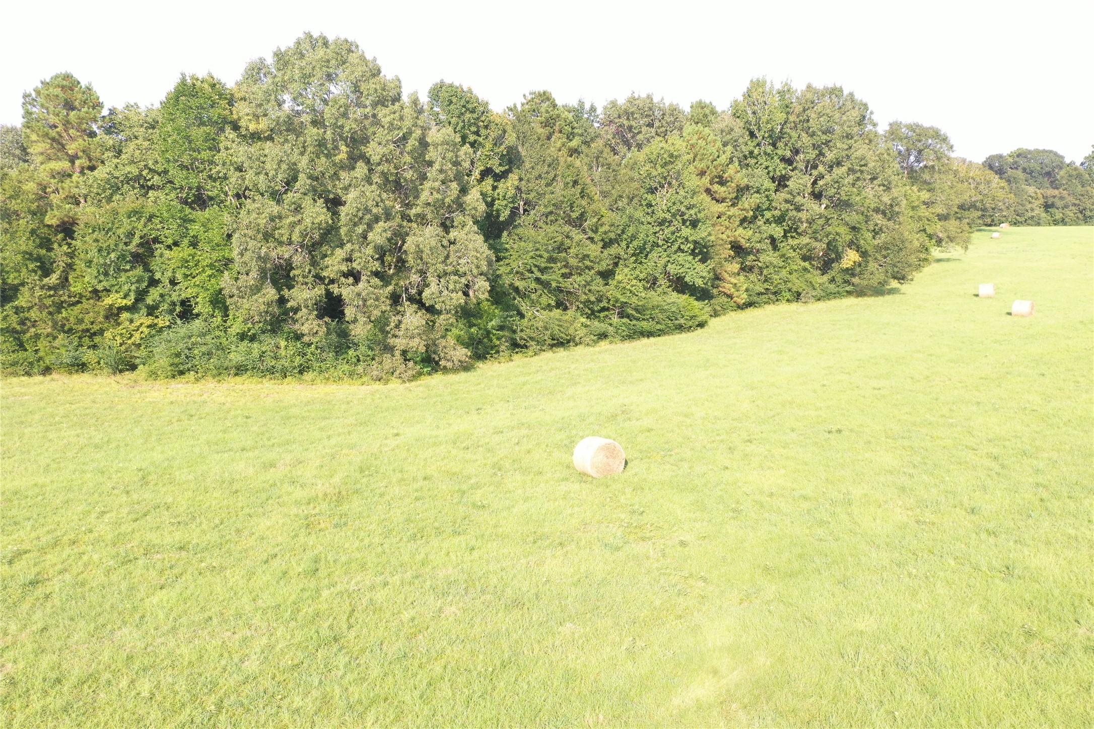 Tbd David Hon Road Livingston, TX 77351 - Photo 10 of 50 a view of a lake view