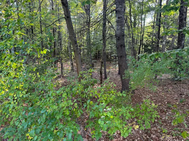 $80,000 | Lot 6 Meadowood Drive, Hallowell, ME 04347