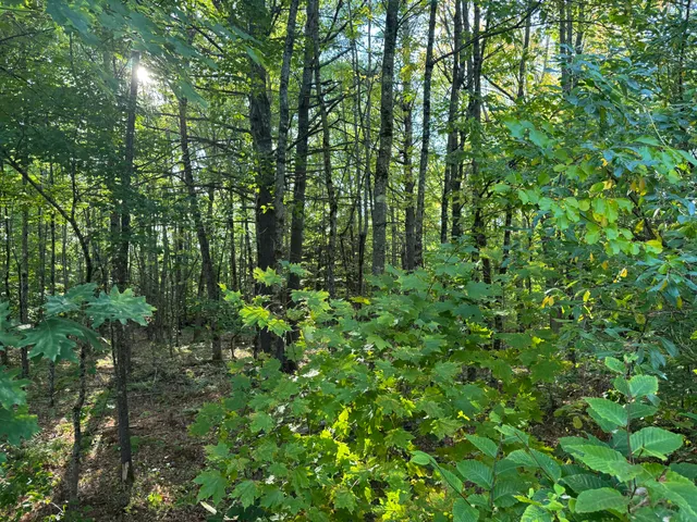$80,000 | Lot 6 Meadowood Drive, Hallowell, ME 04347