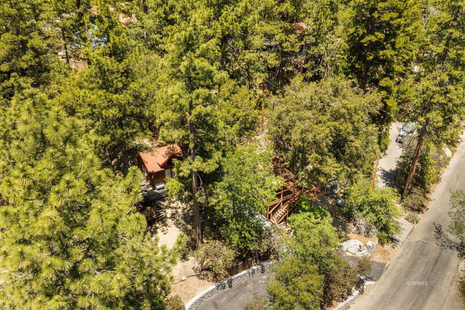 24945 Marion Ridge Drive Idyllwild, CA 92549 - Photo 49 of 53 a view of a tree with a plant