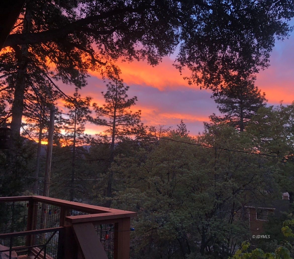 24945 Marion Ridge Drive Idyllwild, CA 92549 - Photo 50 of 53 a view of a roof with a tree