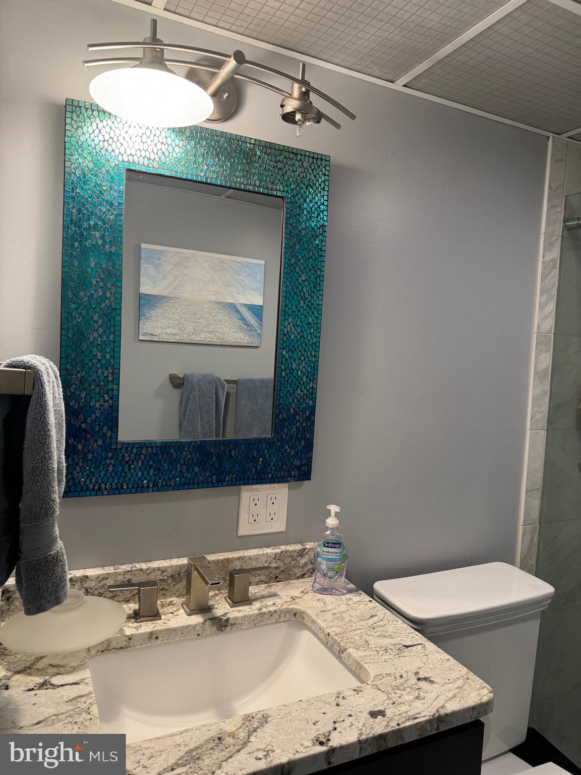 735 Bradley Road, Unit 206 Ocean City, MD 21842 - Photo 30 of 37 Hall Bath