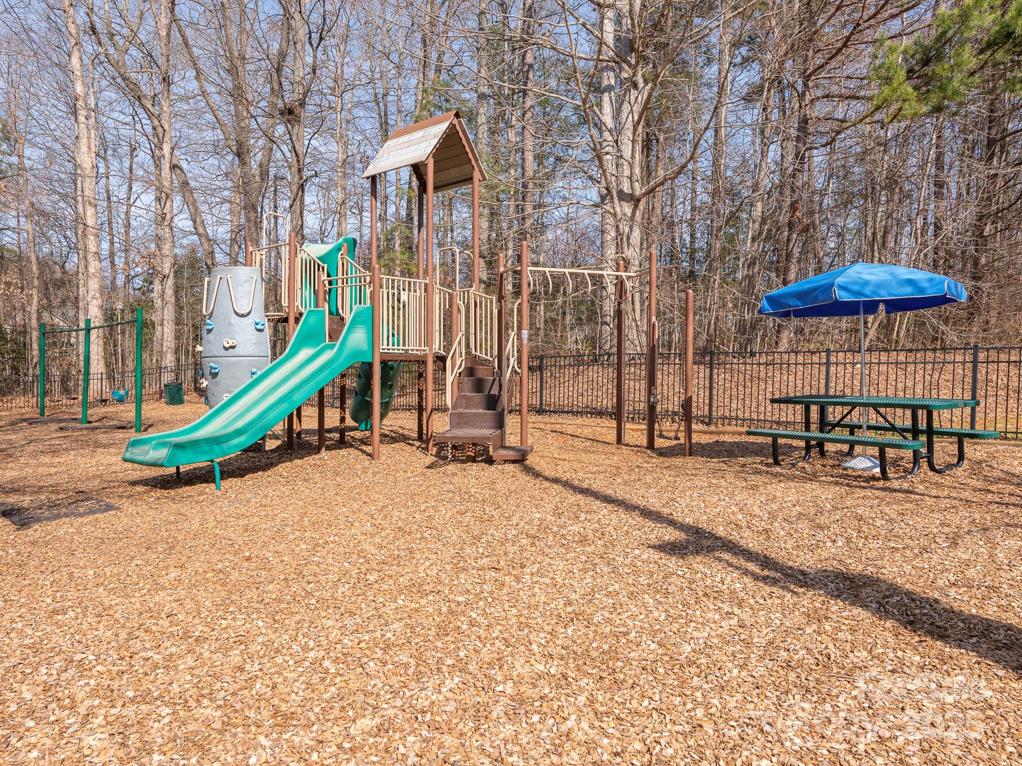 13245 Chelsea Ridge Lane Huntersville, NC 28078 - Photo 35 of 37