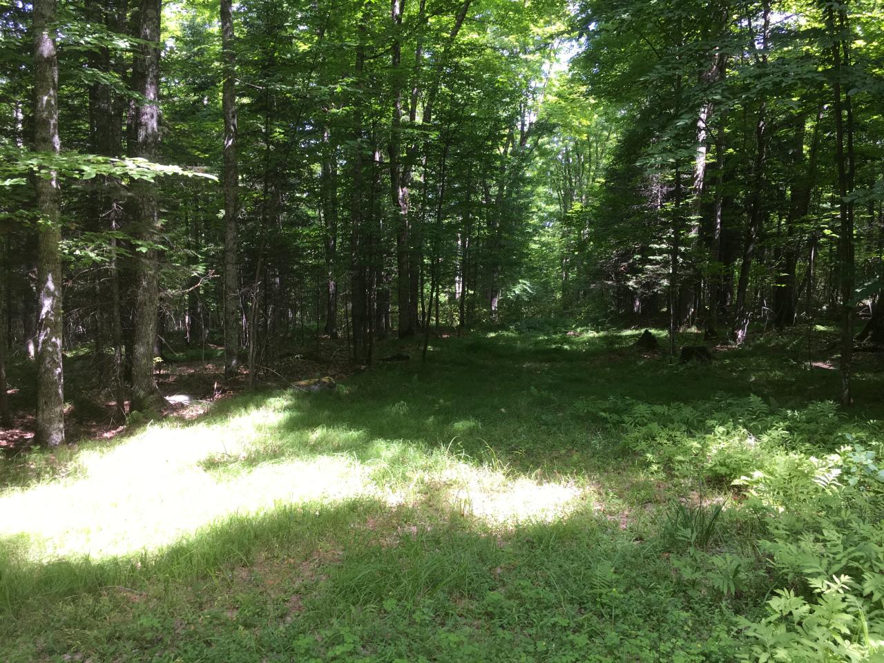 Lot 1-on Lot 1-on Deer Path Road Phelps, WI 54554 - Photo 24 of 27 Gallery Image 24