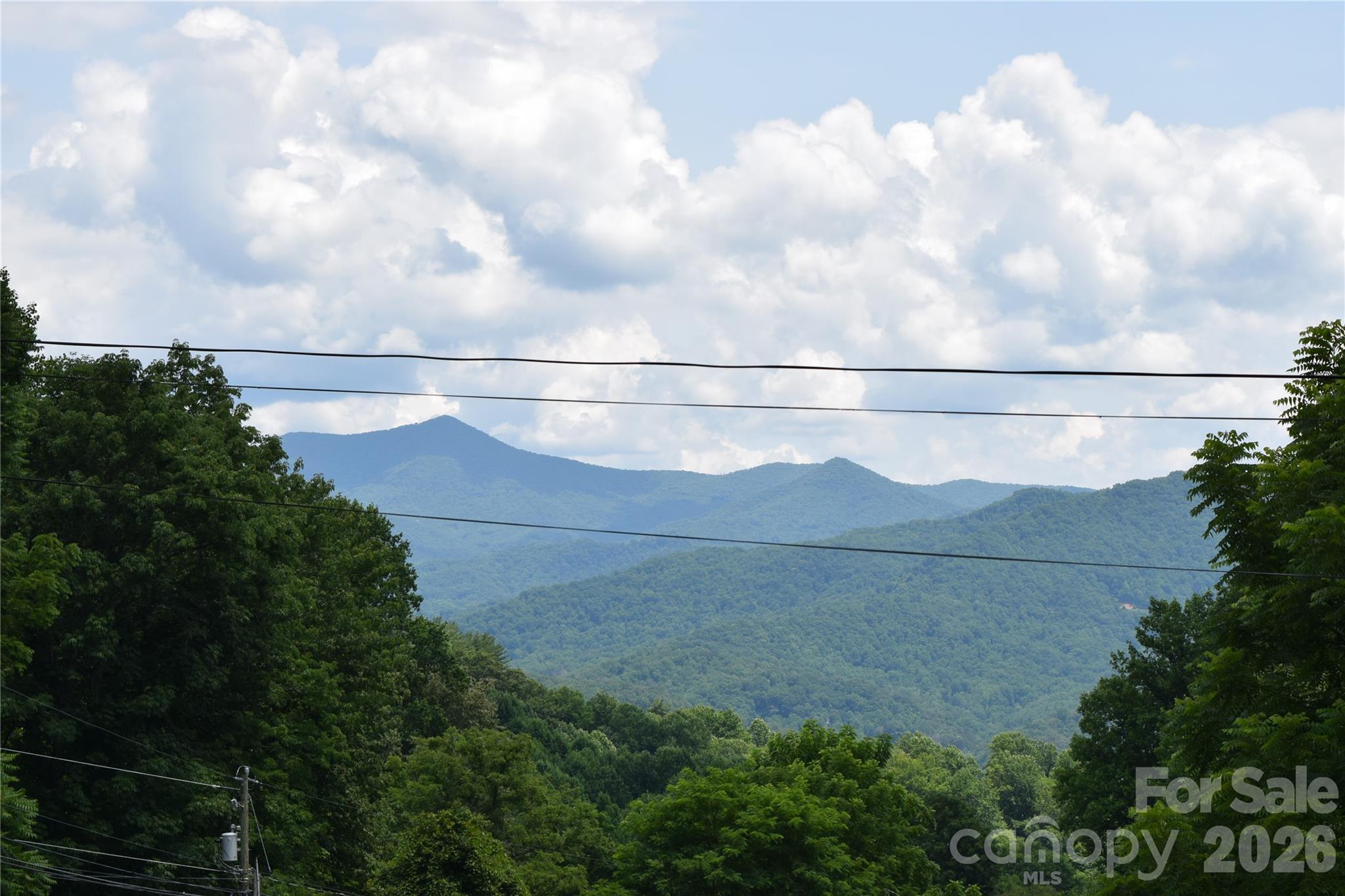 619 Kitchens Branch Road Sylva, NC 28779 - Photo 5 of 31