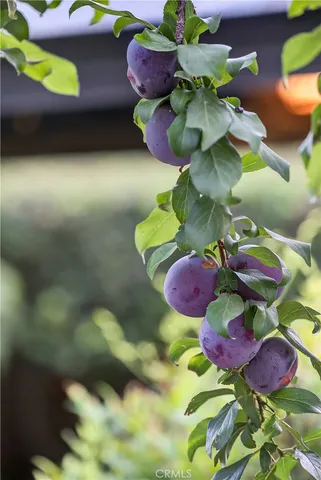 $2,098,000 | 115 Annandale Road, Pasadena, CA 91105