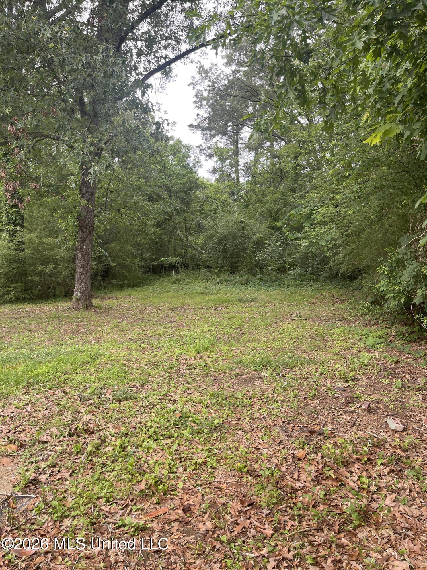 825 Combs Street Jackson, MS 39204 - Photo 21 of 21 IMG_3793(2)