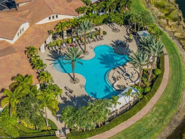 a view of a plant in a garden