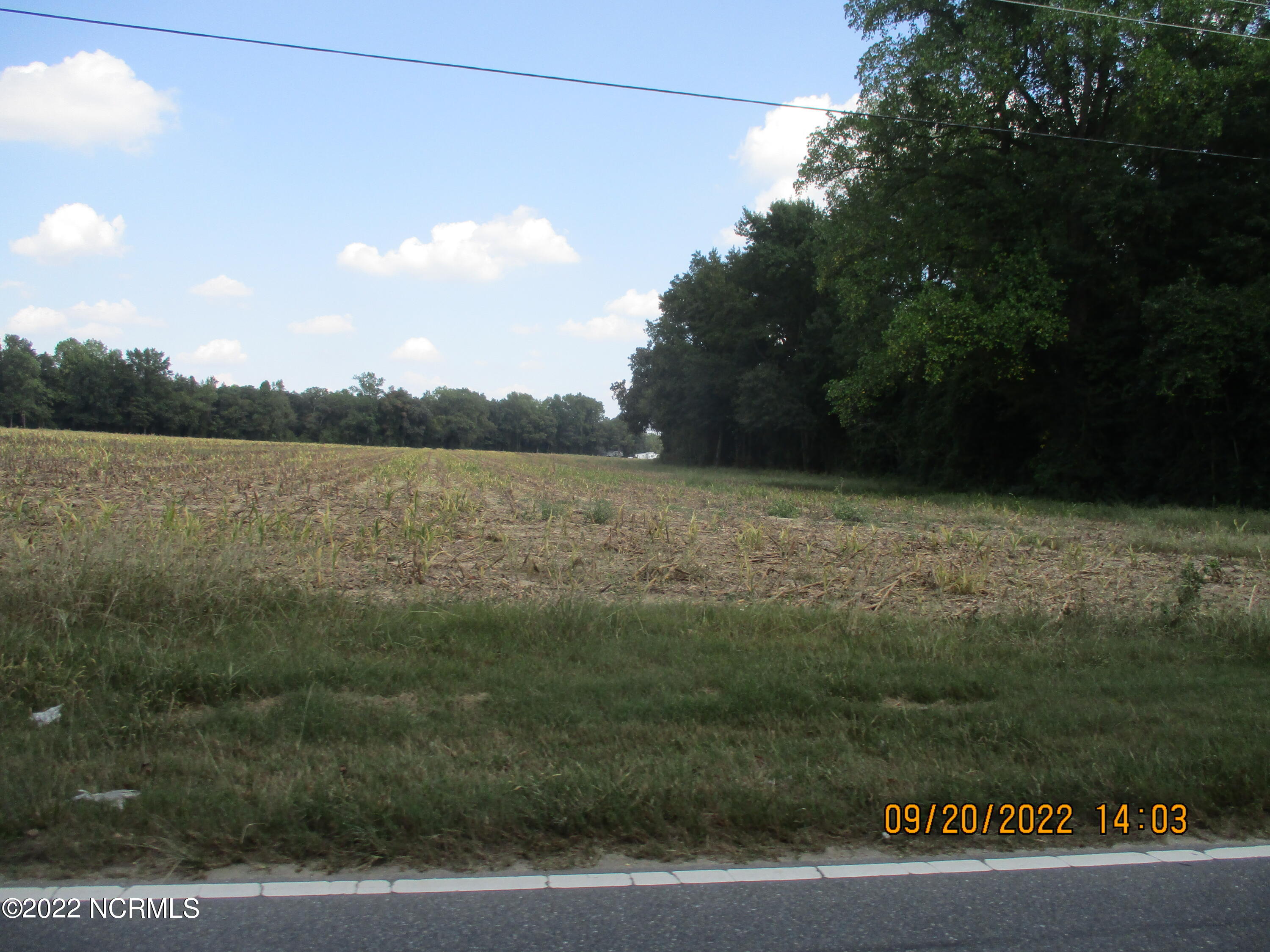 0 Friendship Church Road Warsaw, NC 28398 - Photo 5 of 5 IMG_2381
