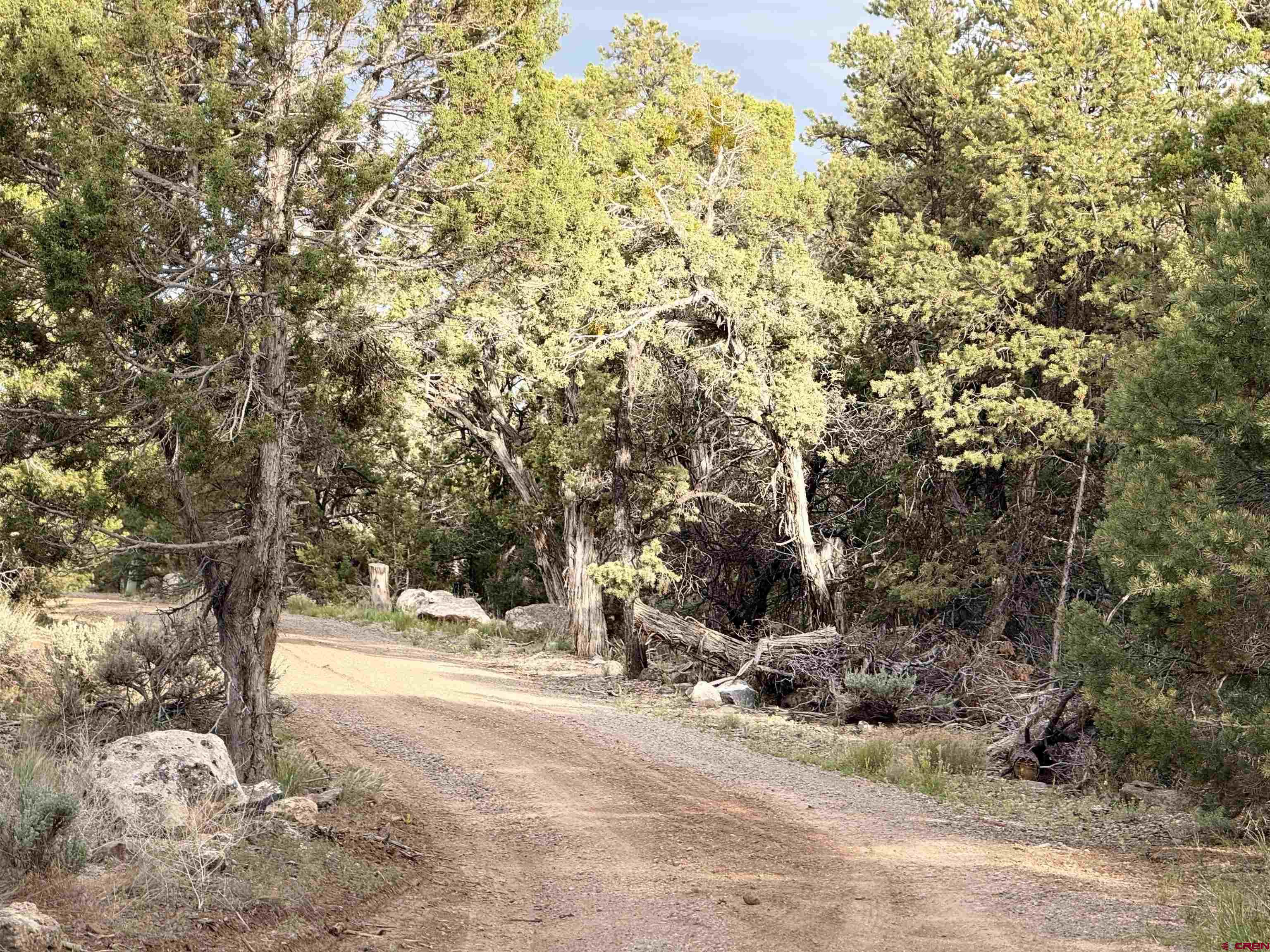 29501 P50 Road Hotchkiss, CO 81419 - Photo 40 of 45