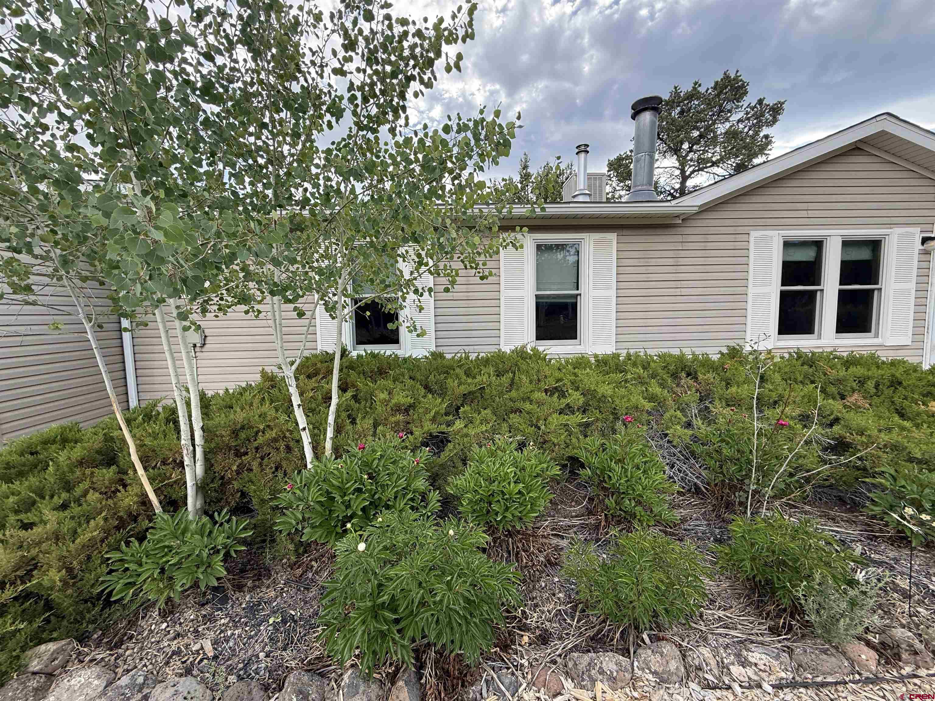 29501 P50 Road Hotchkiss, CO 81419 - Photo 4 of 45 a view of a backyard with plants