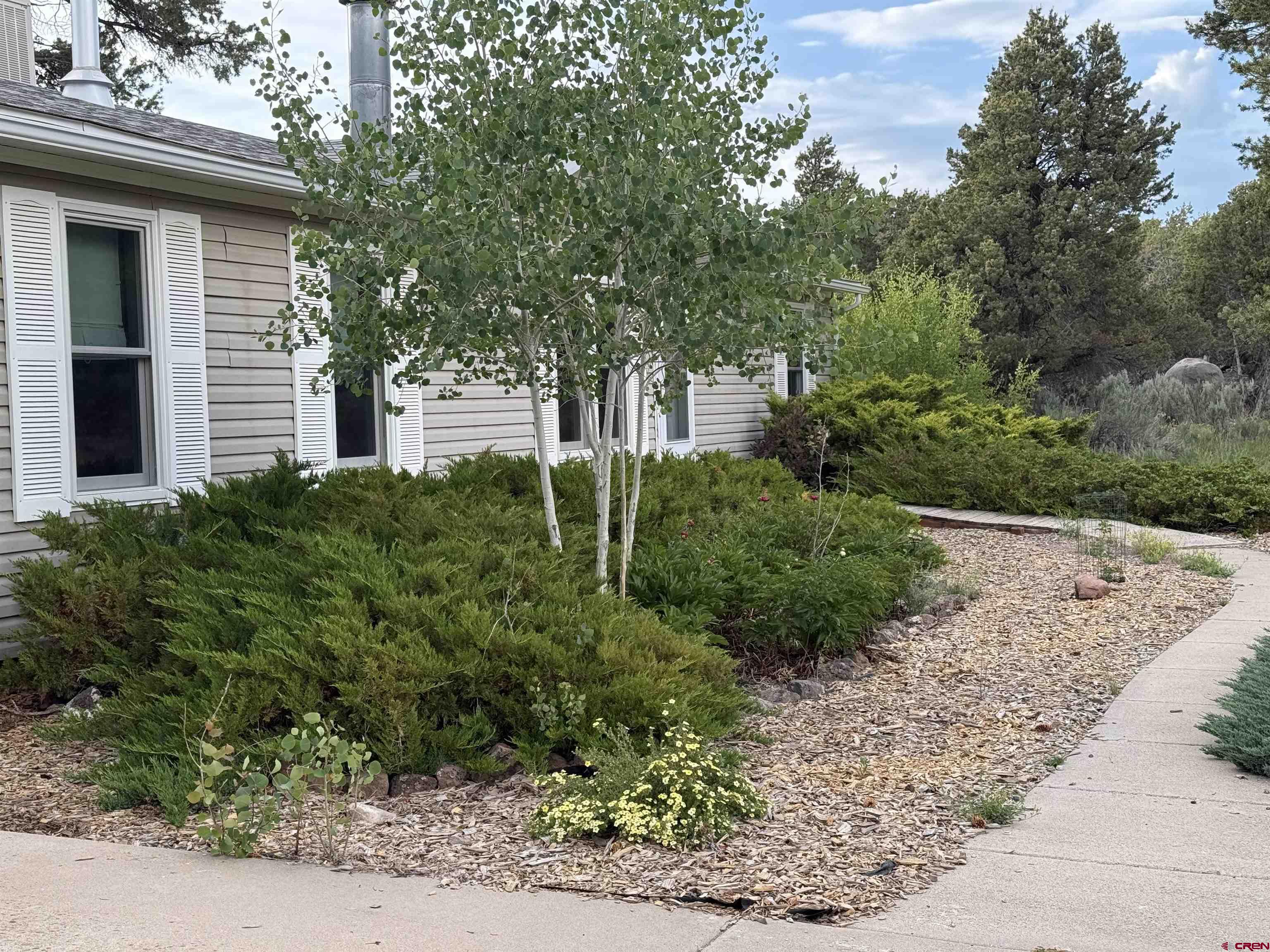 29501 P50 Road Hotchkiss, CO 81419 - Photo 44 of 45 a view of backyard with green space