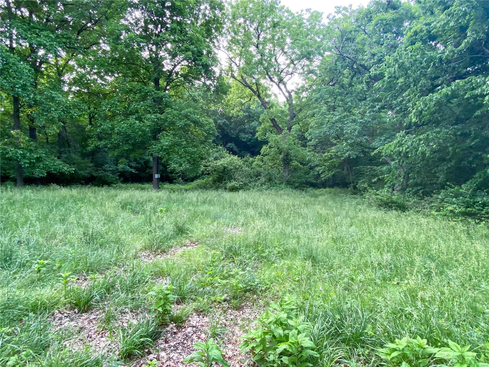 50 Wynn Lane Butler, IL 62015 - Photo 21 of 22 Gallery Image 21