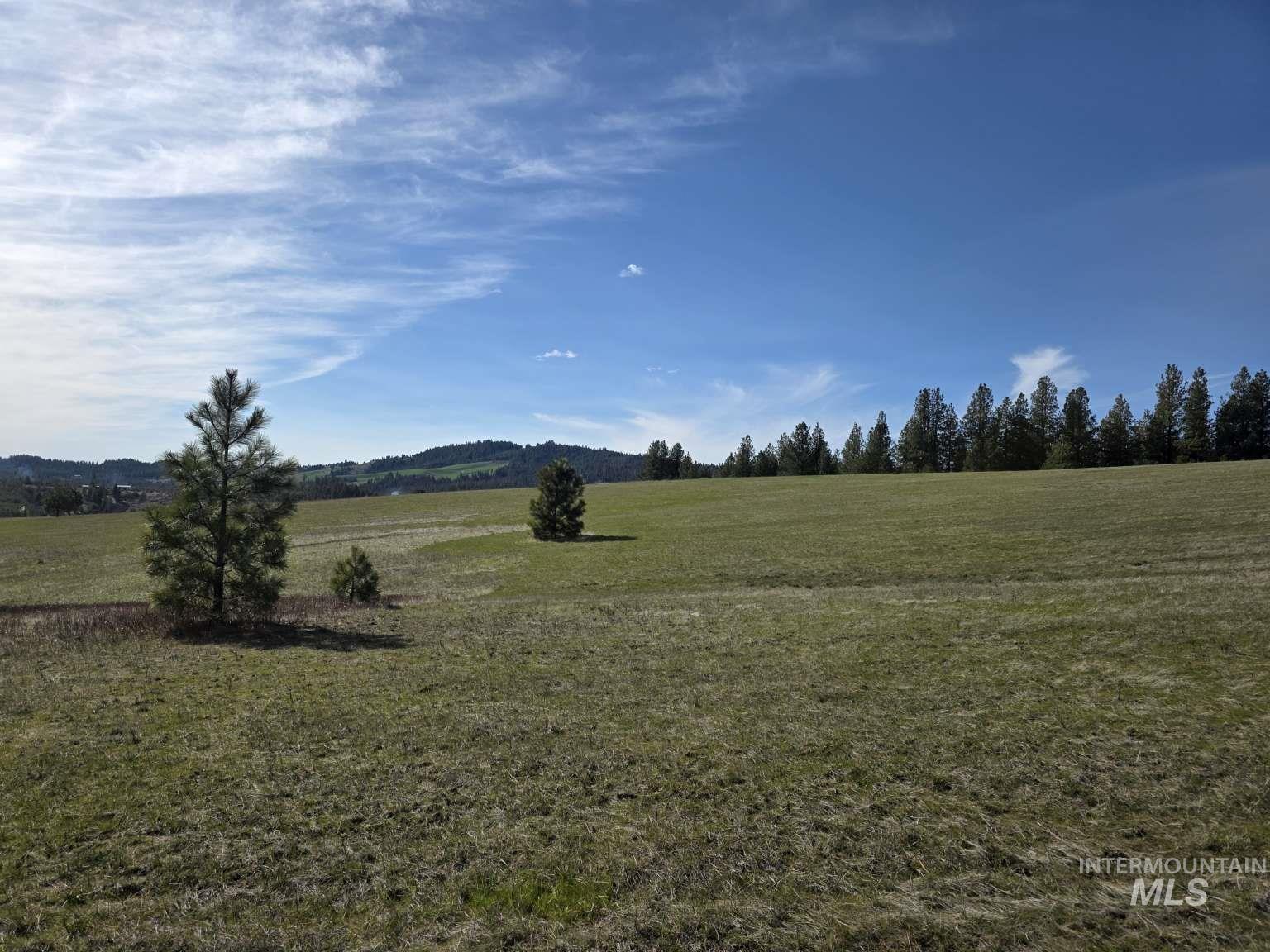 1077 Liberty Lane Viola, ID 83872 - Photo 2 of 7