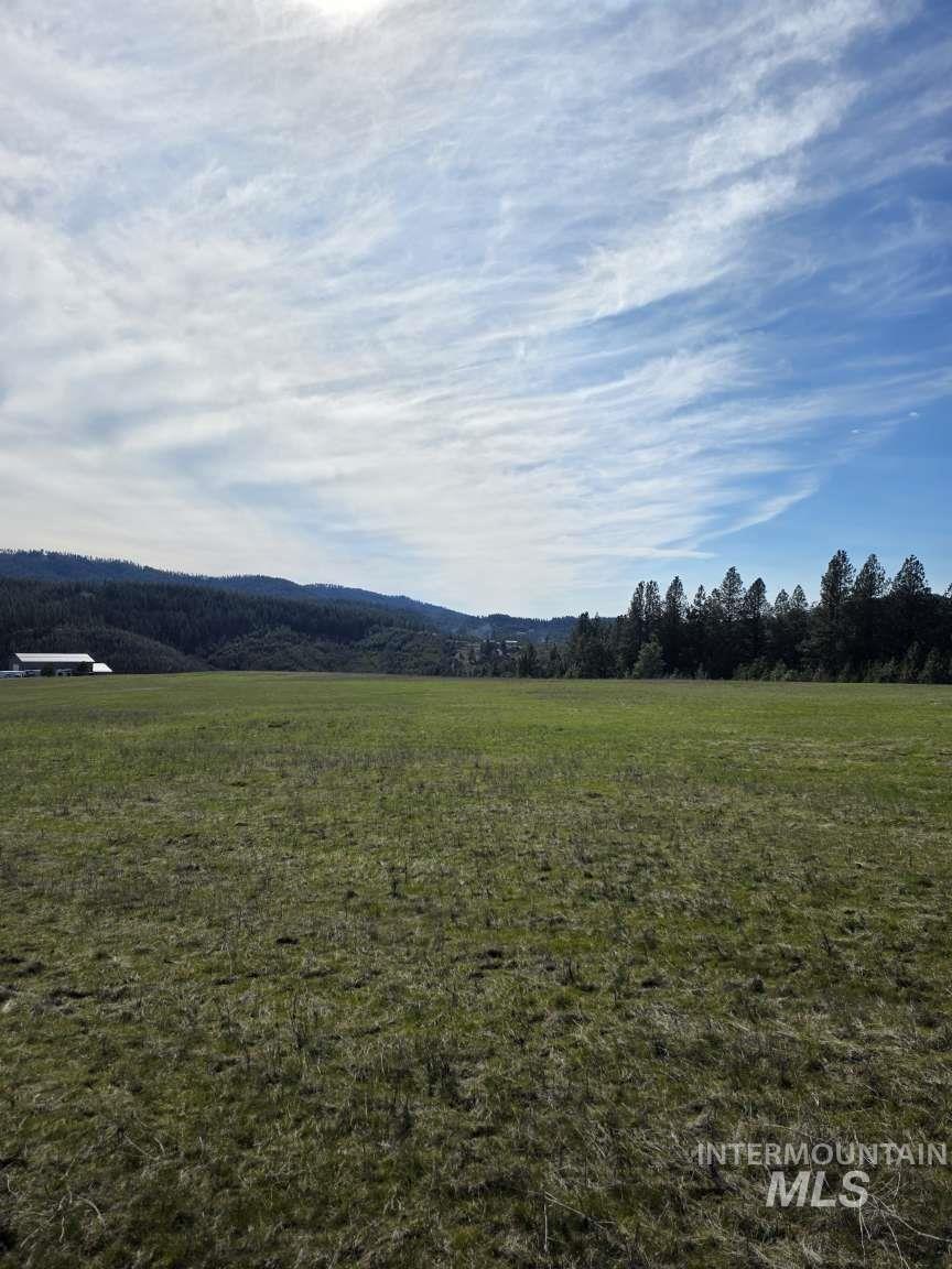 1077 Liberty Lane Viola, ID 83872 - Photo 4 of 7