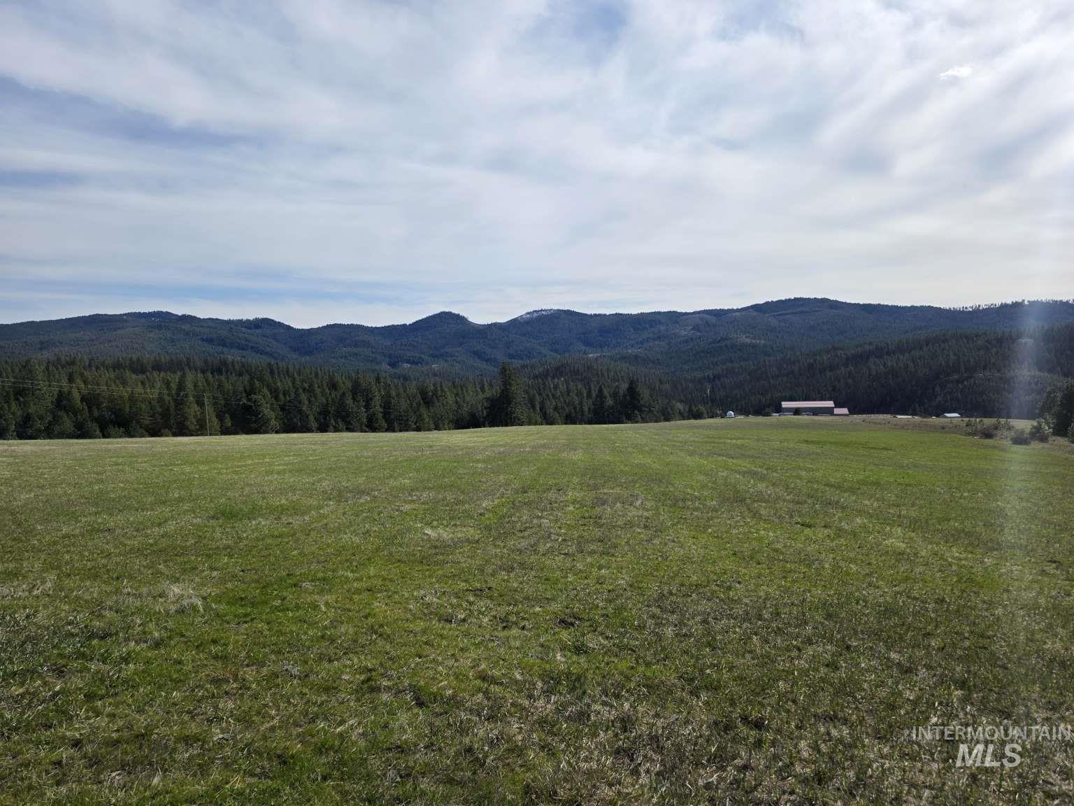 1077 Liberty Lane Viola, ID 83872 - Photo 5 of 7